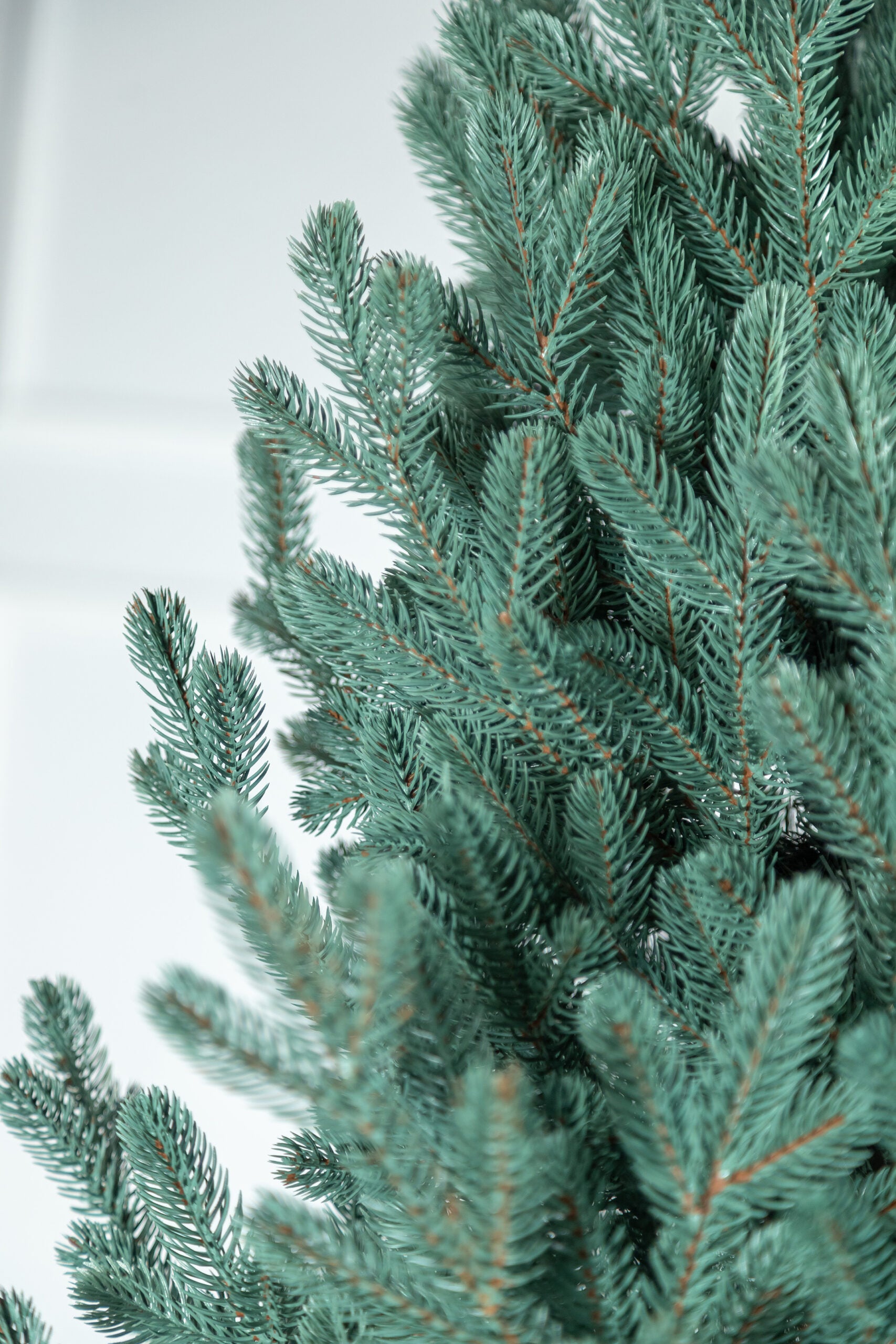 Brad artificial Christmas Deluxe by Sersimo, Viena Select argintiu, integral 3D, 210cm