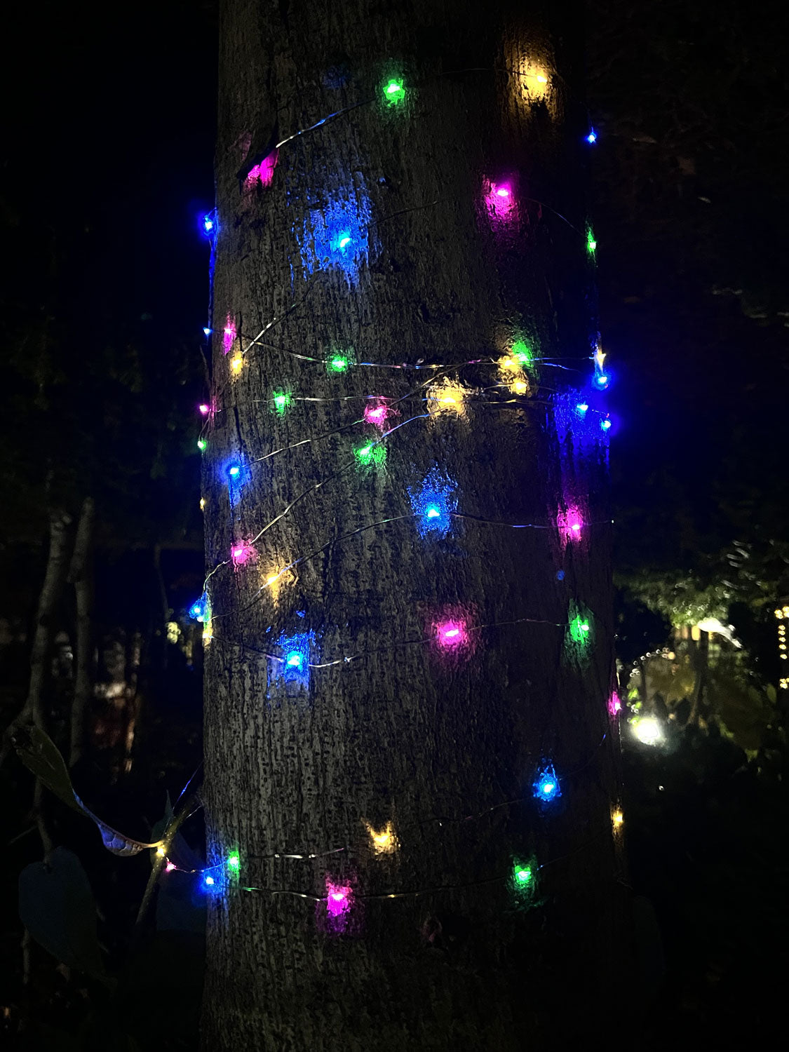 Ghirlanda luminoasa liniara, 100 LED-uri, 990cm, incarcare solara, multicolor