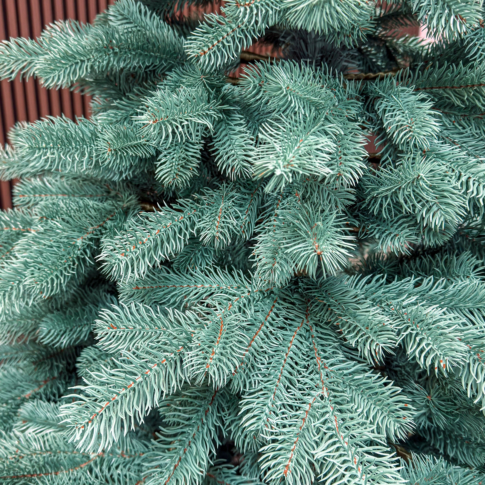 Brad artificial Christmas Deluxe by Sersimo, Kovalivka Select argintiu, integral 3D, 230 cm