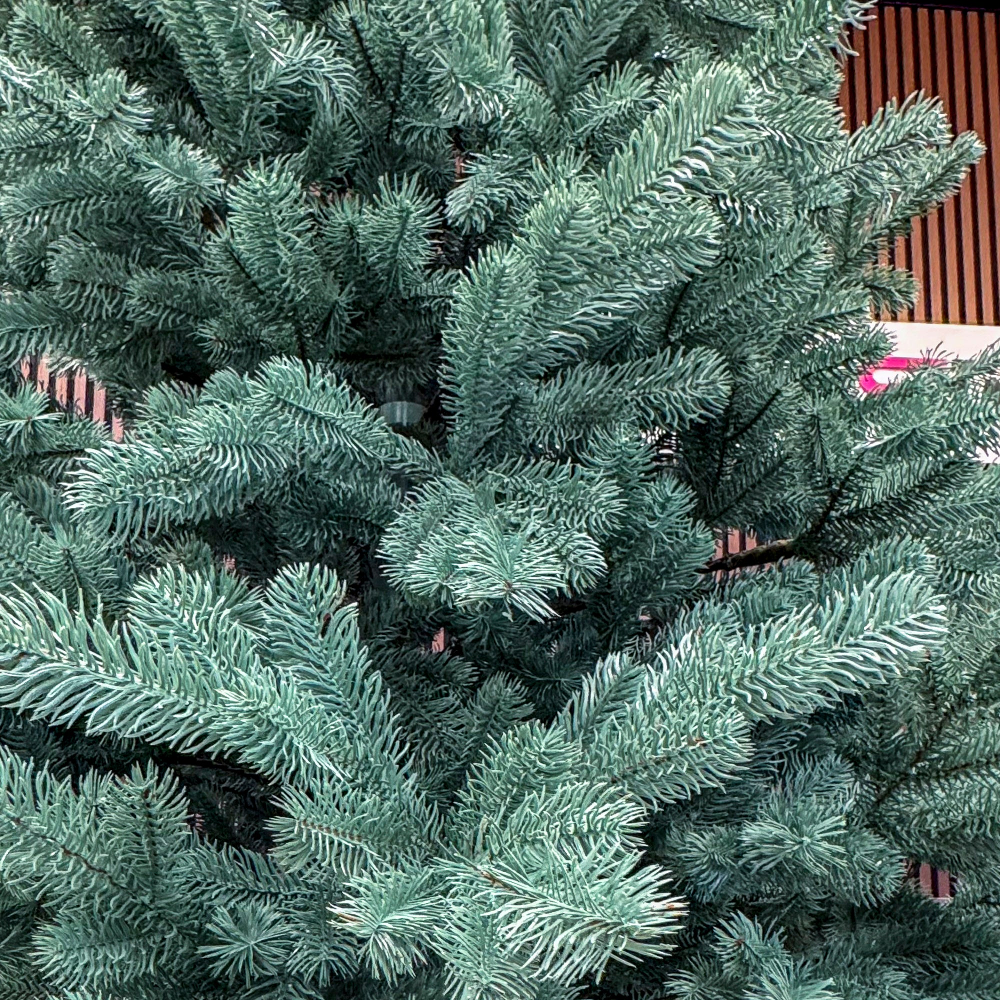 Brad artificial Christmas Deluxe by Sersimo, Kovalivka Select argintiu, integral 3D, 210 cm