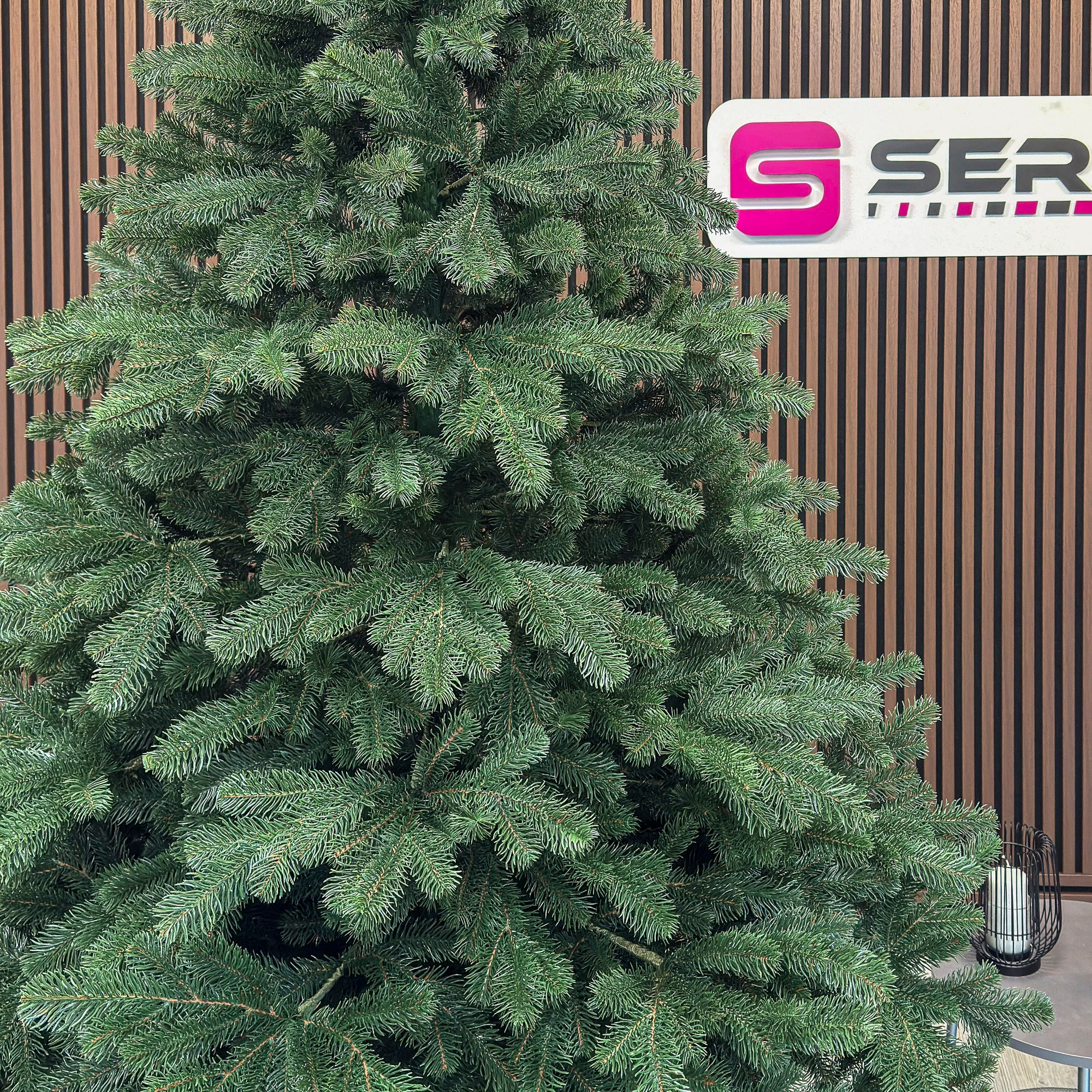 Brad artificial Christmas Deluxe by Sersimo, Kovalivka Select, integral 3D, 250 cm