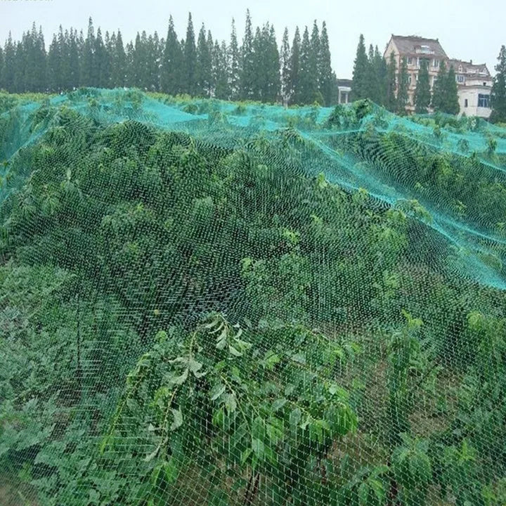 Plasa anti pasari pentru pomi fructiferi si vita de vie, ochiuri 15x15 mm, polipropilena, 2x5 m, verde