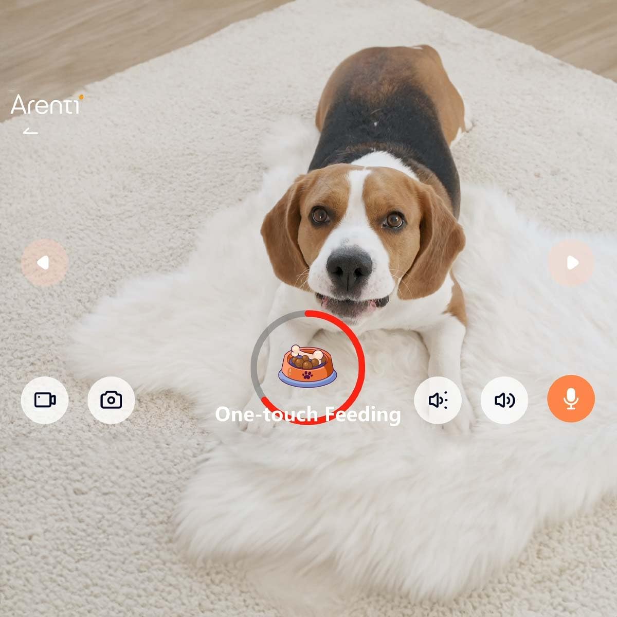 Camera supraveghere Arenti, 2K, 3MP, pentru animale de casa, cu dispenser de boabe, wireless 2.4/5 GHz, microSD max 256GB, detectie miscare si latrat, night vision 10m, audio bidirectional, pan si tilt, "PETCAM1T" (timbru verde 0.8 lei)