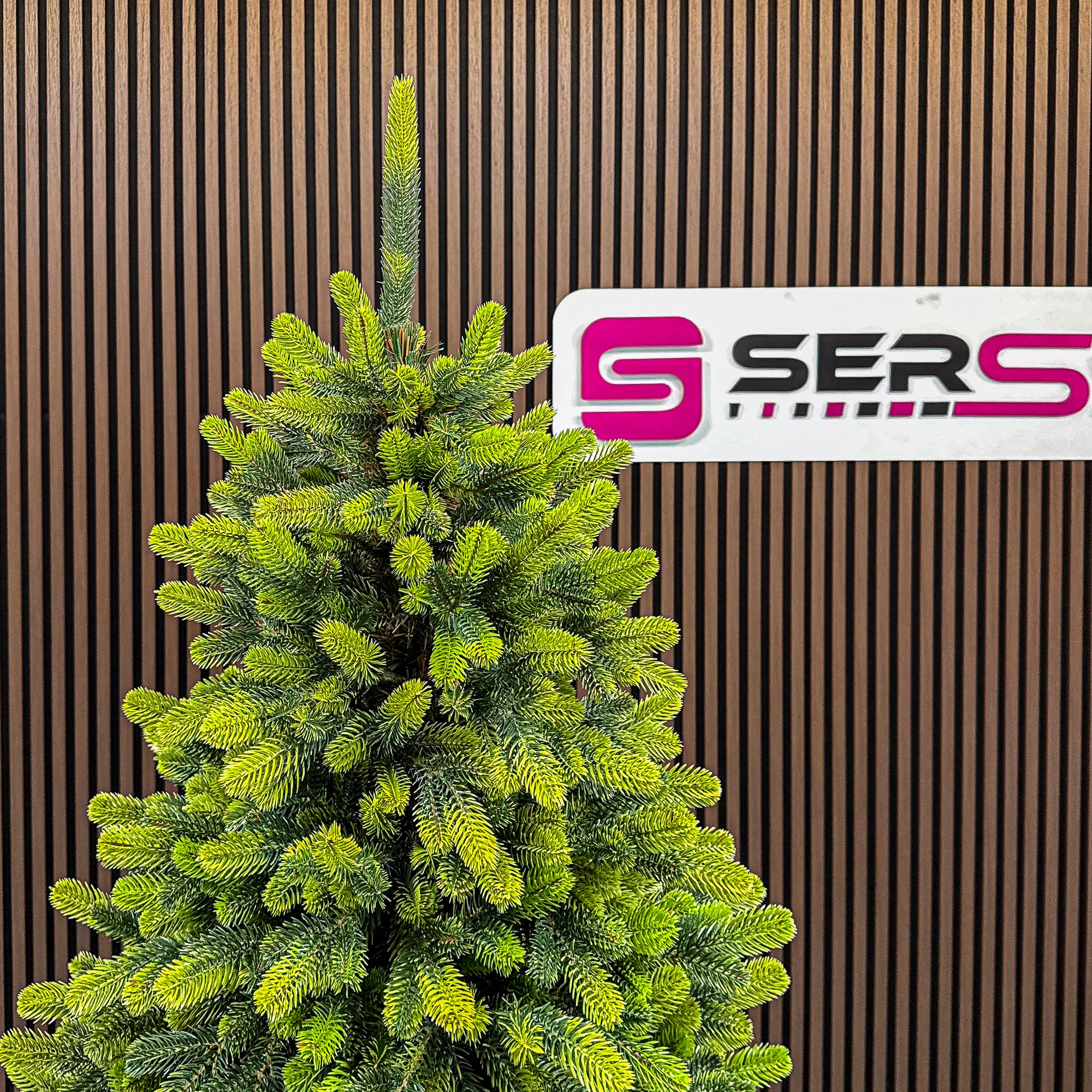Brad artificial Christmas Deluxe by Sersimo, Polar Spring Select, integral 3D, 210 cm