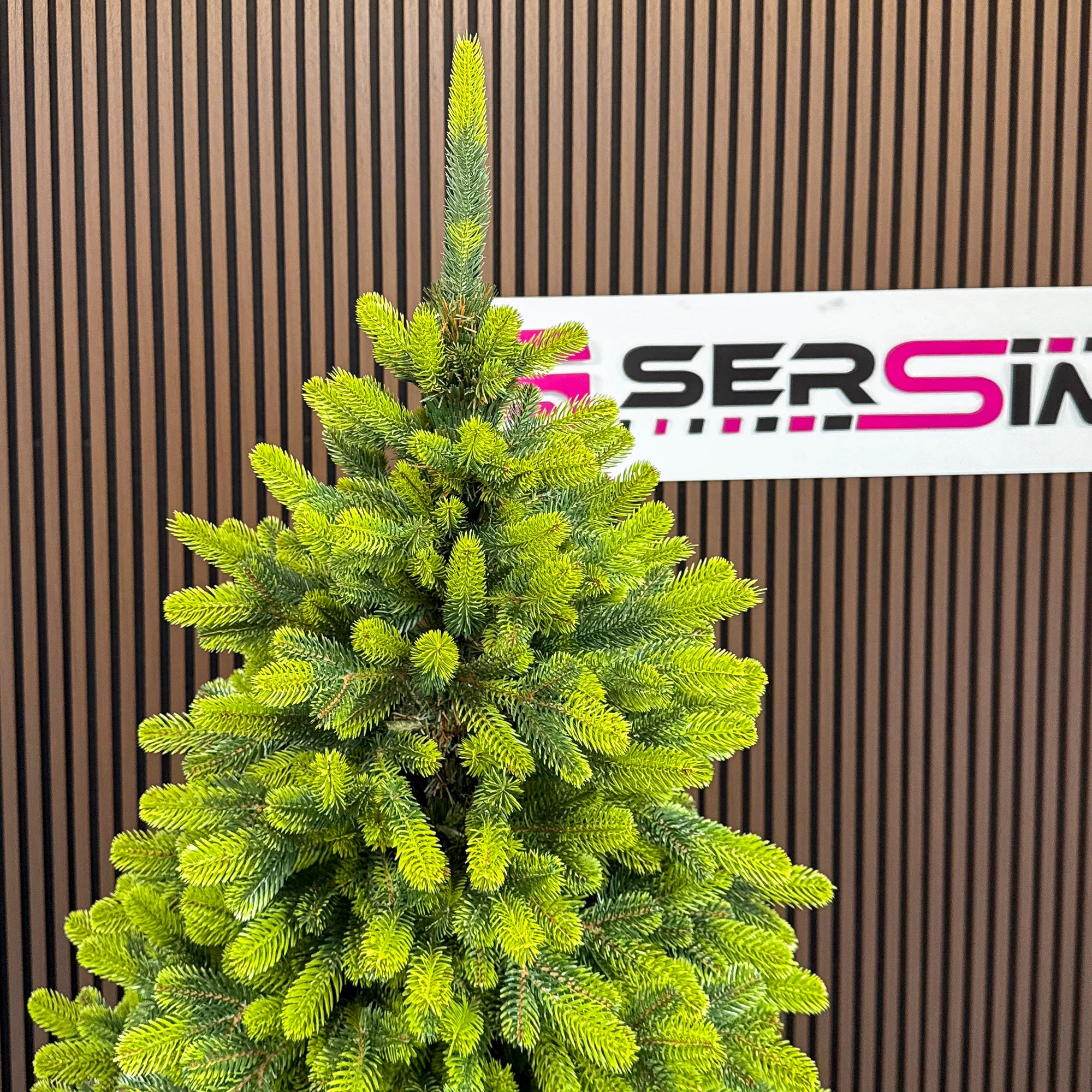 Brad artificial Christmas Deluxe by Sersimo, Polar Spring Select, integral 3D, 210 cm