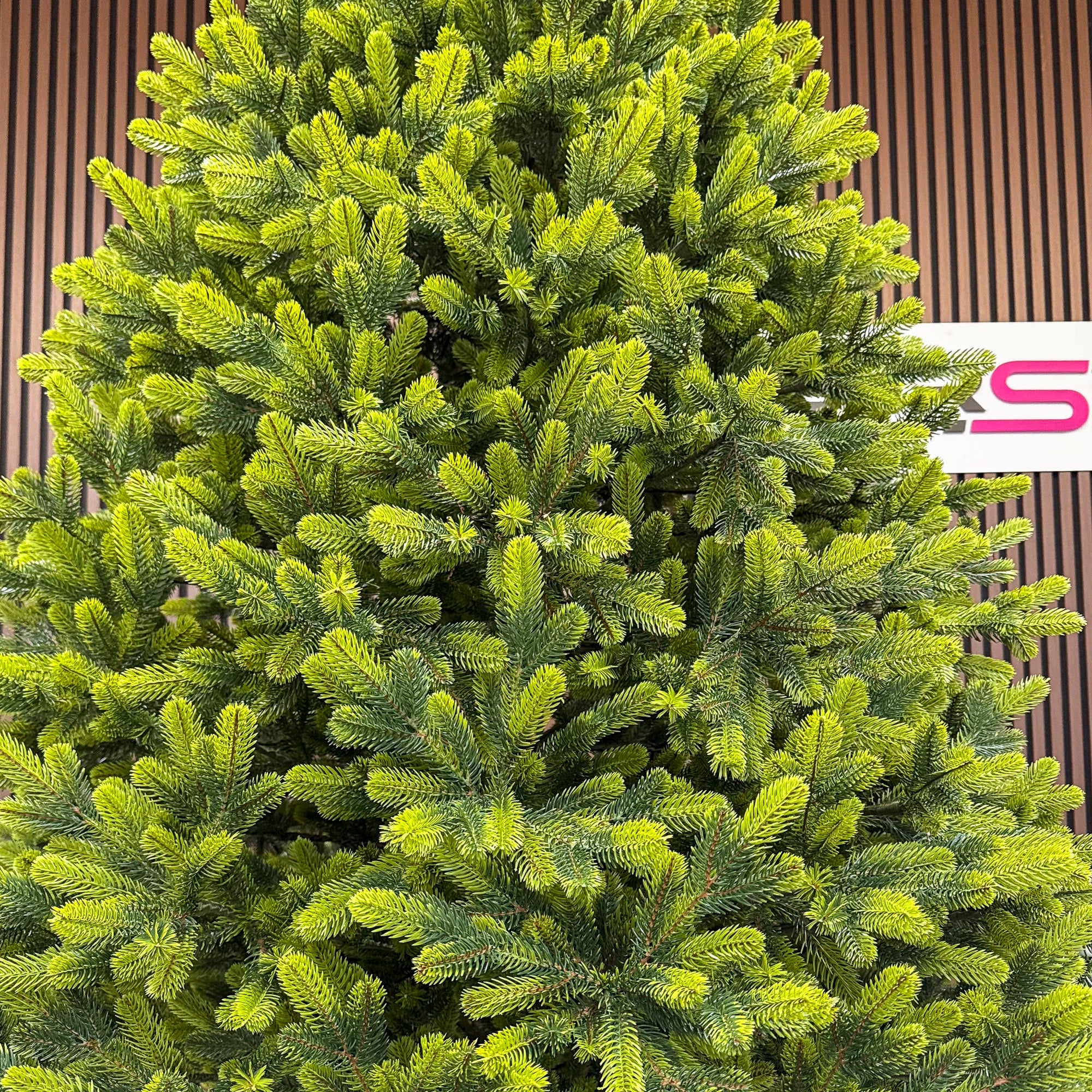 Brad artificial Christmas Deluxe by Sersimo, Polar Spring Select, integral 3D, 210 cm