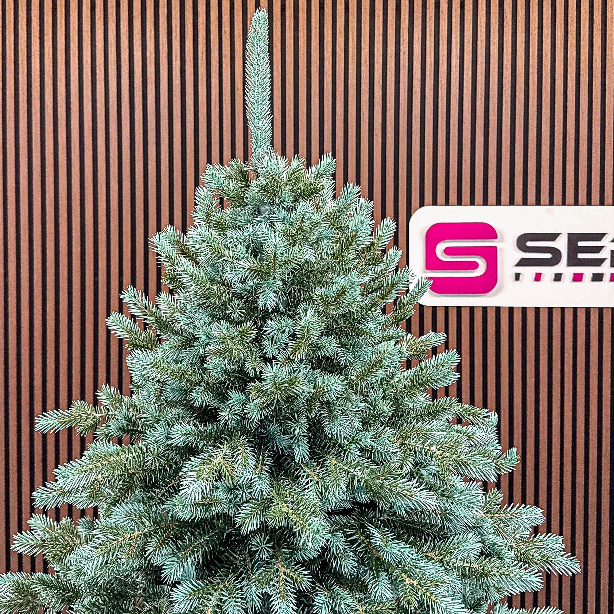 Brad artificial Christmas Deluxe by Sersimo, Alaska Select verde argintiu, integral 3D, 230 cm