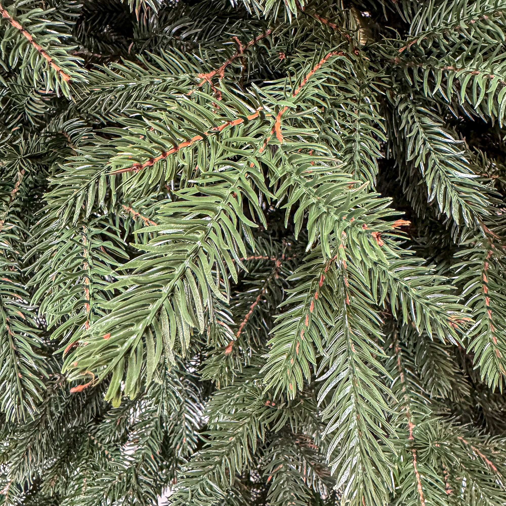 Brad artificial Christmas Deluxe by Sersimo, Alpin Select, integral 3D, 230cm