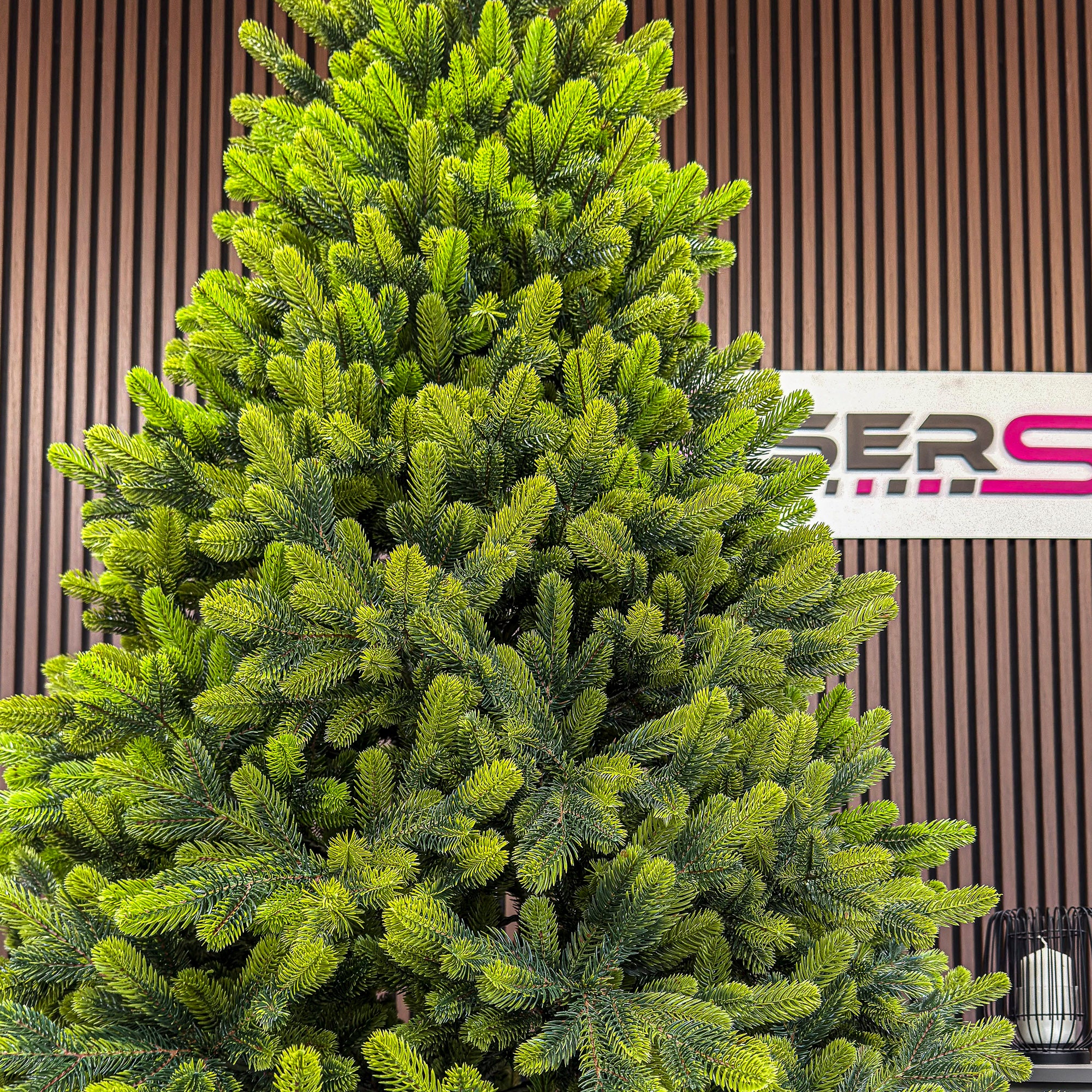 Brad artificial Christmas Deluxe by Sersimo, Polar Spring Select, integral 3D, 180 cm