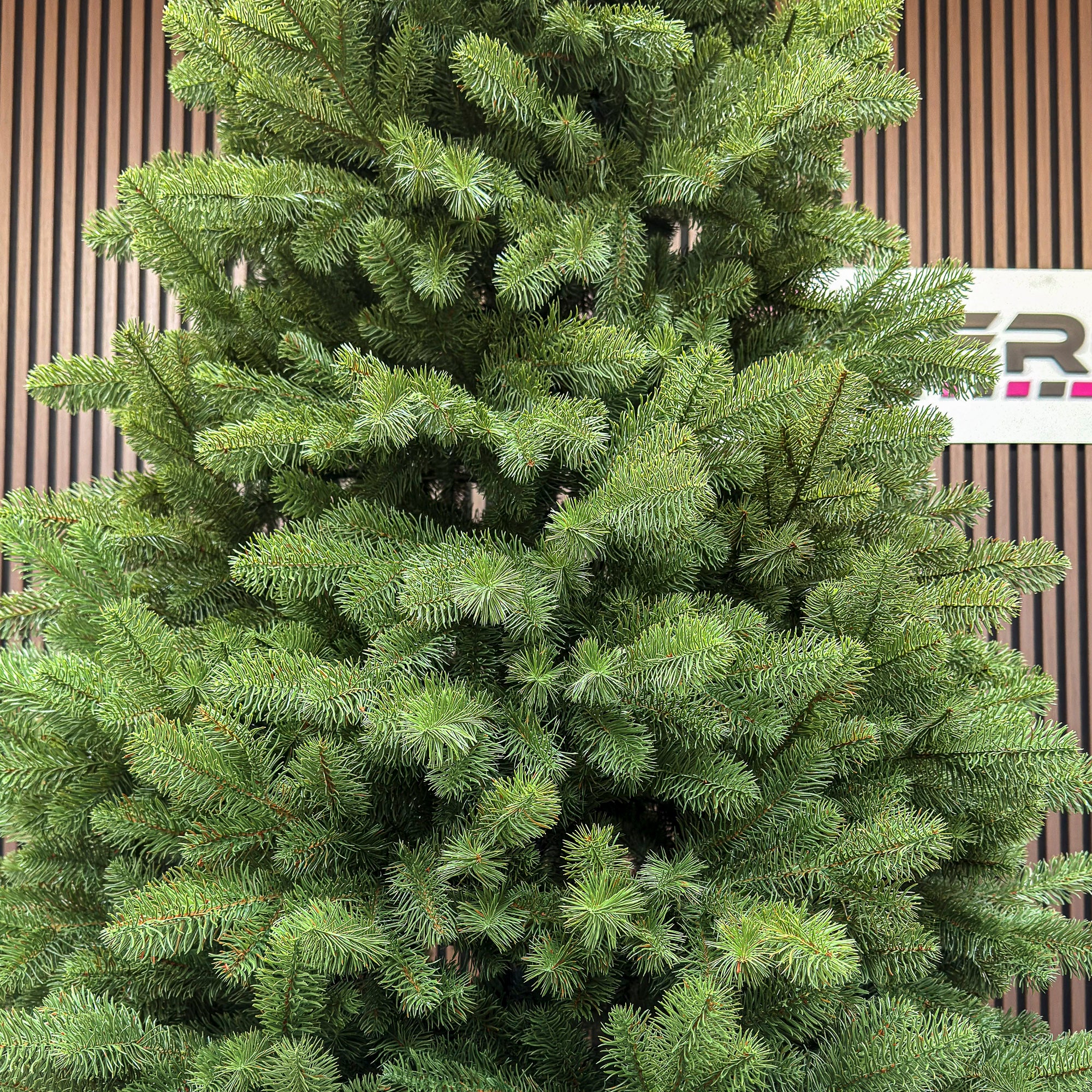 Brad artificial Sersimo, Silvee Elite, verde, integral 3D, 220 cm