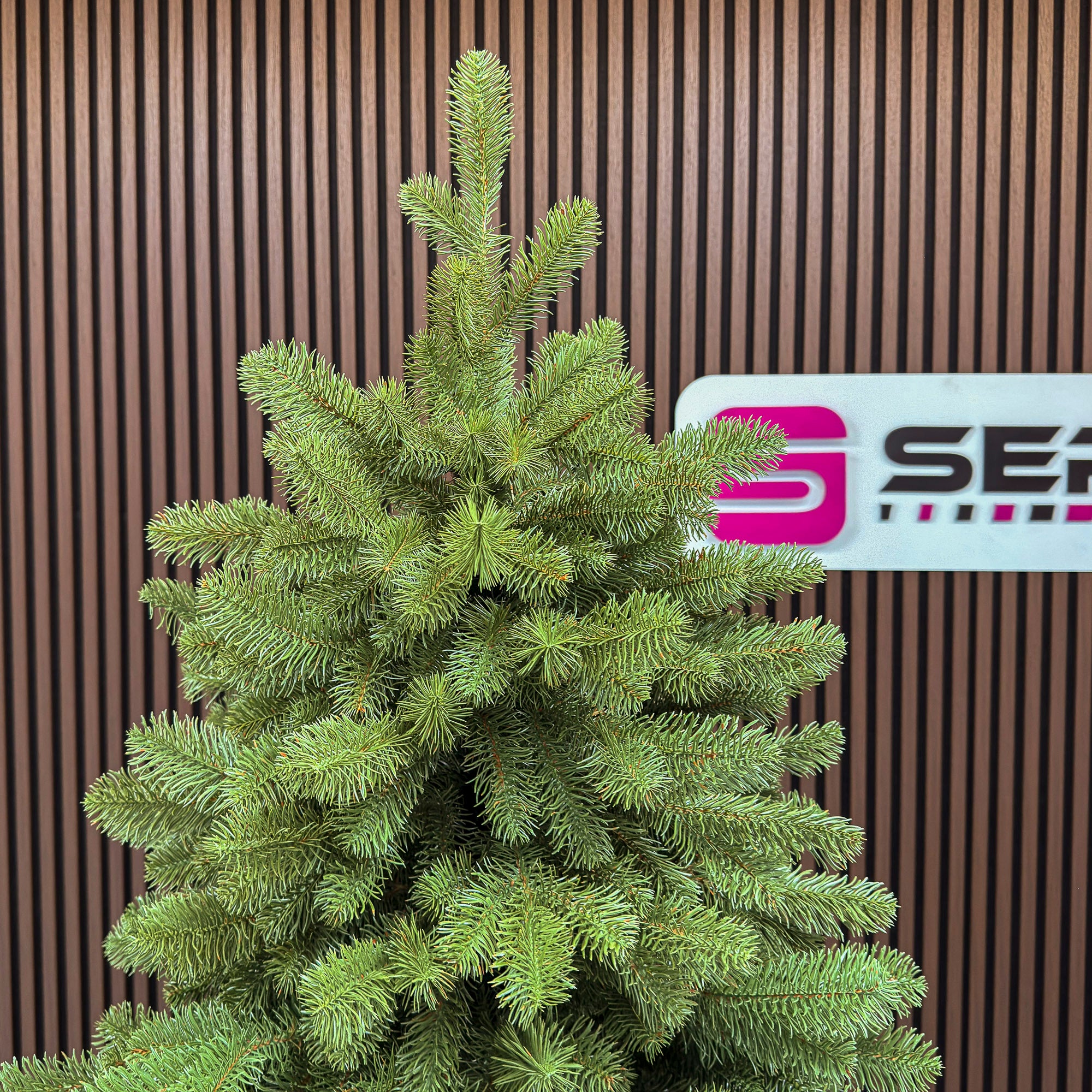 Brad artificial Sersimo, Silvee Elite, verde, integral 3D, 220 cm