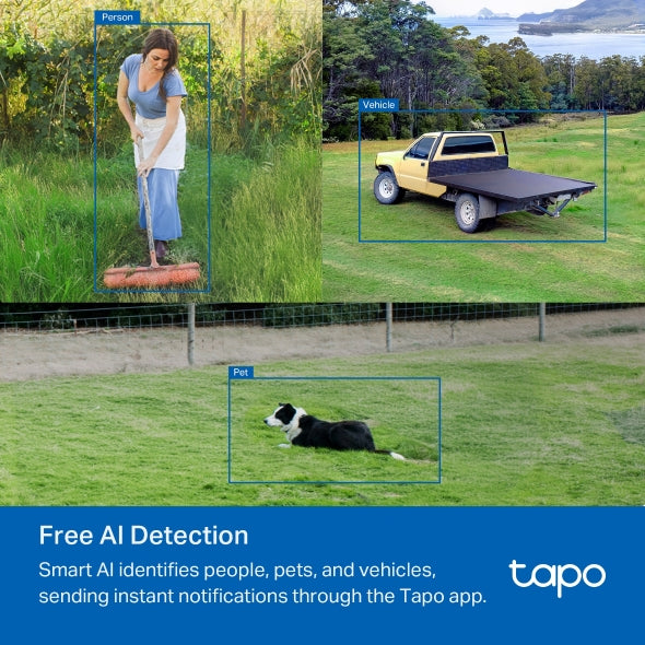 CAMERA IP TP-LINK, 3G/4G LTE + 1 x RJ-45, dome, pt.exterior, dist. IR 9 m, tip lentila fixa 4 mm, 2MP 1920 × 1080 px, microfon, carcasa plastic, slot SD card, "Tapo C501GW"