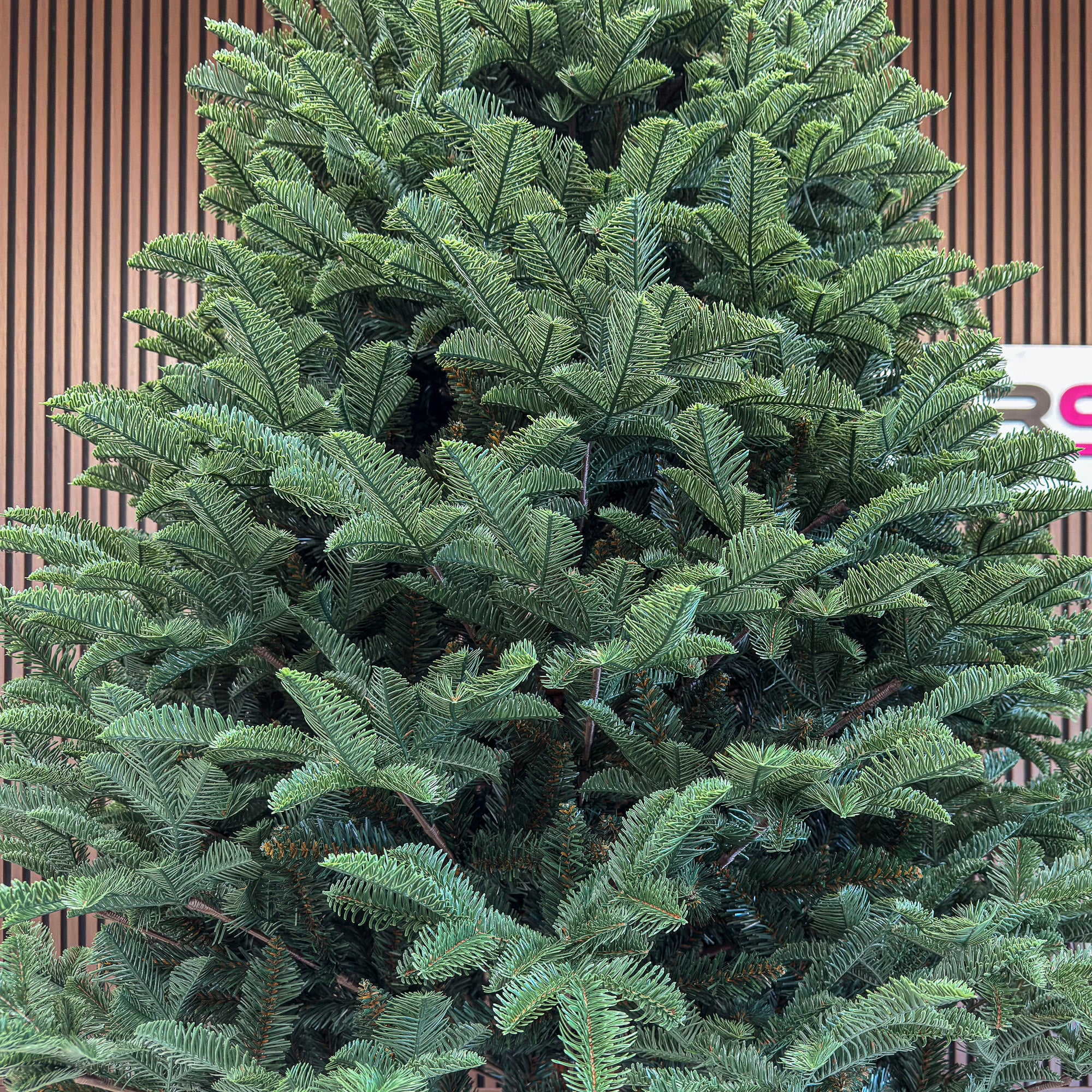Brad artificial Christmas Deluxe by Sersimo, Alaska, verde, mix 2D+3D, 230 cm