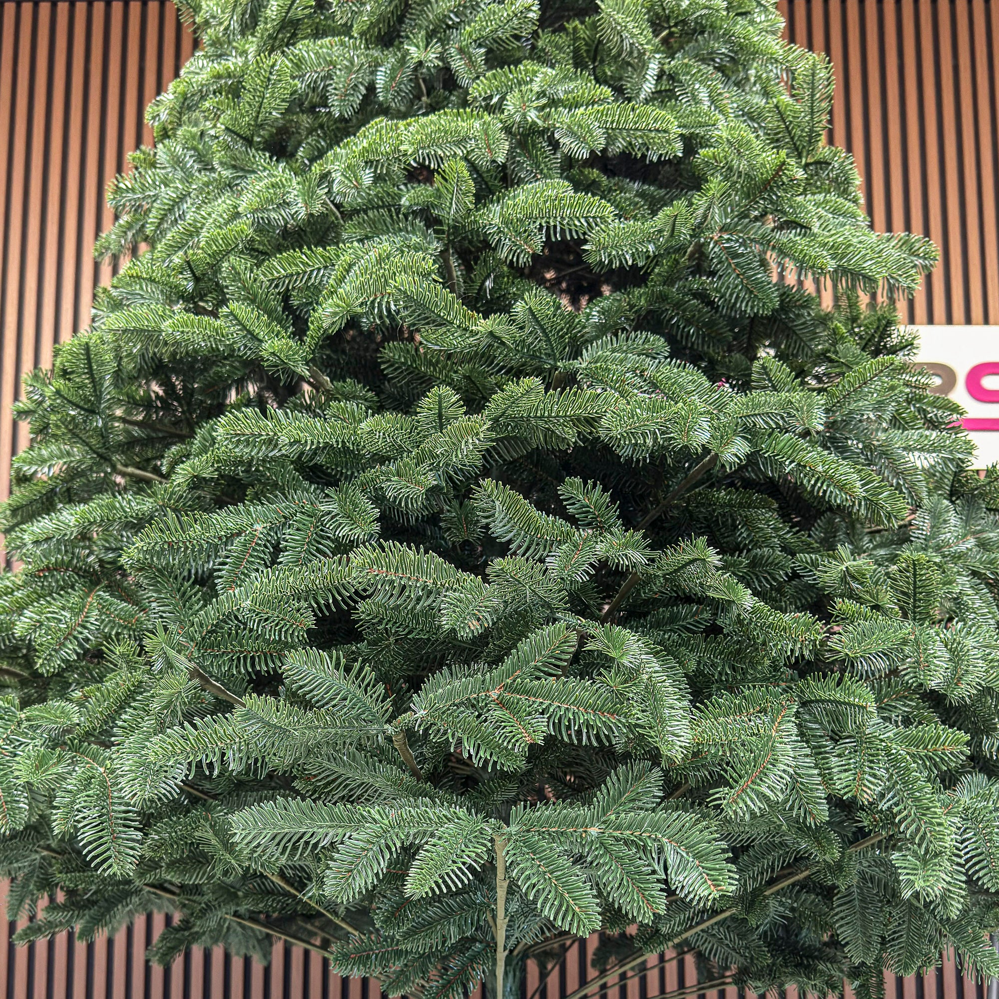 Brad artificial Christmas Deluxe by Sersimo, Canada verde, 3D, 230cm