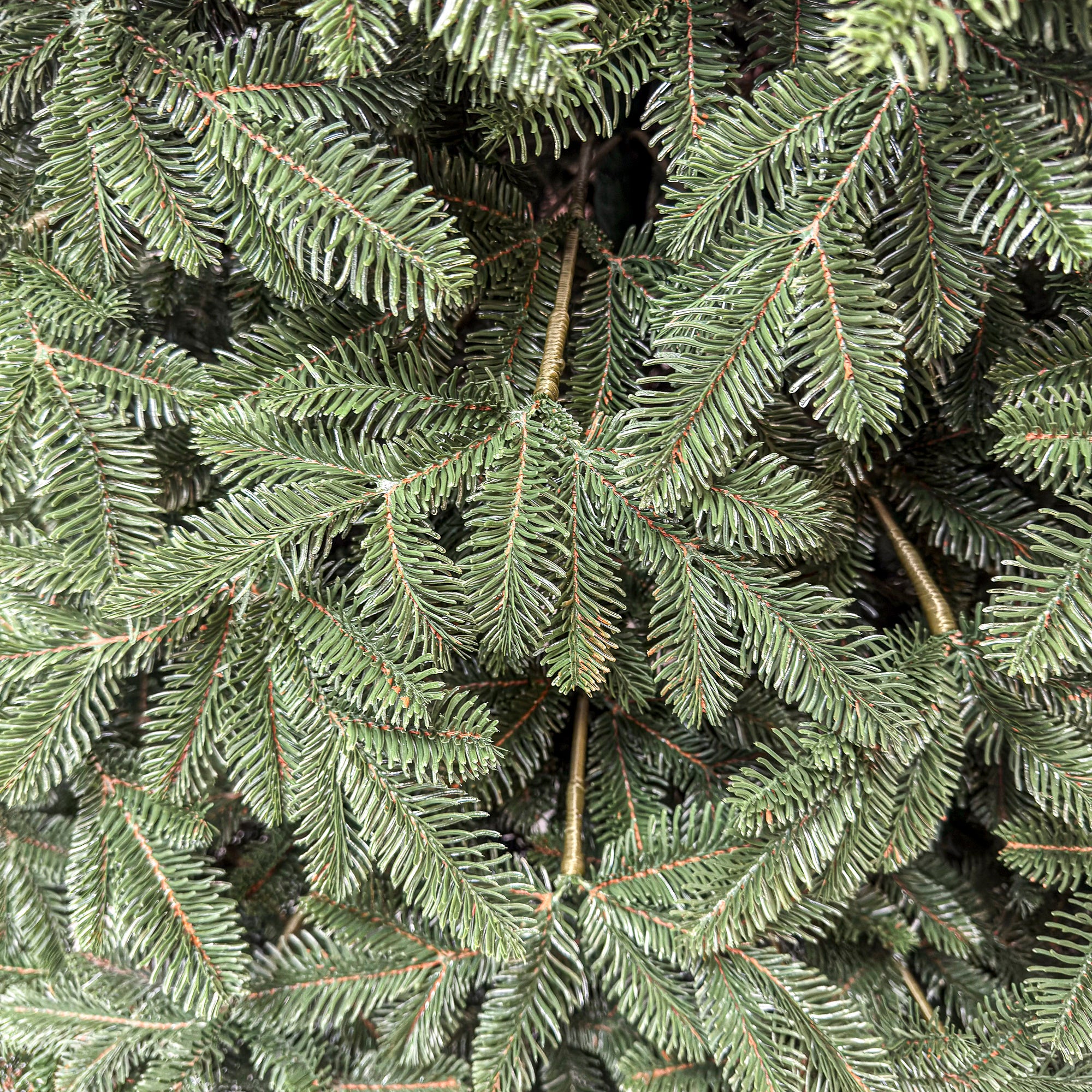 Brad artificial Christmas Deluxe by Sersimo, Canada verde, 3D, 230cm
