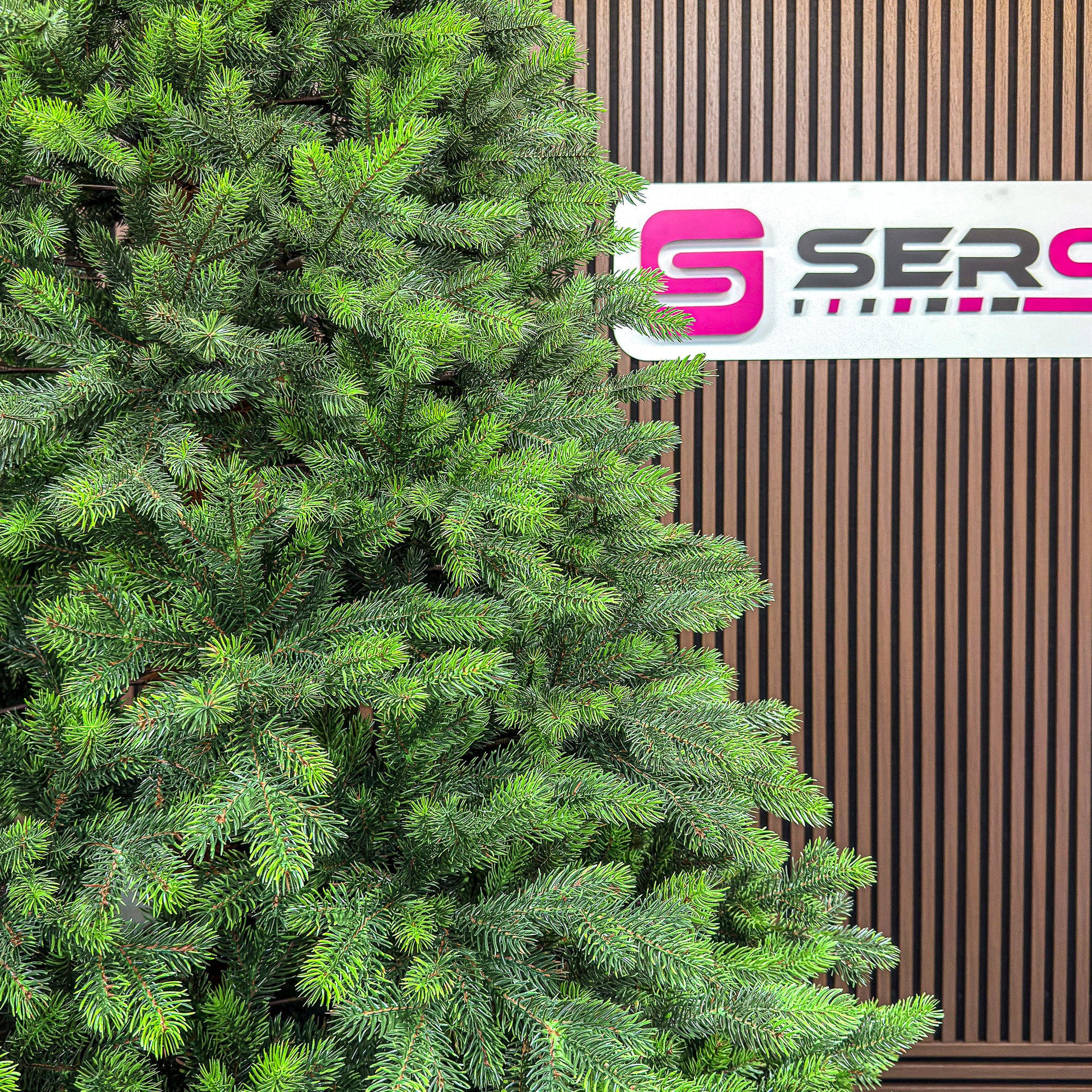 Brad artificial Sersimo, Hollandia, verde cu varfuri verzi, integral 3D, 250 cm