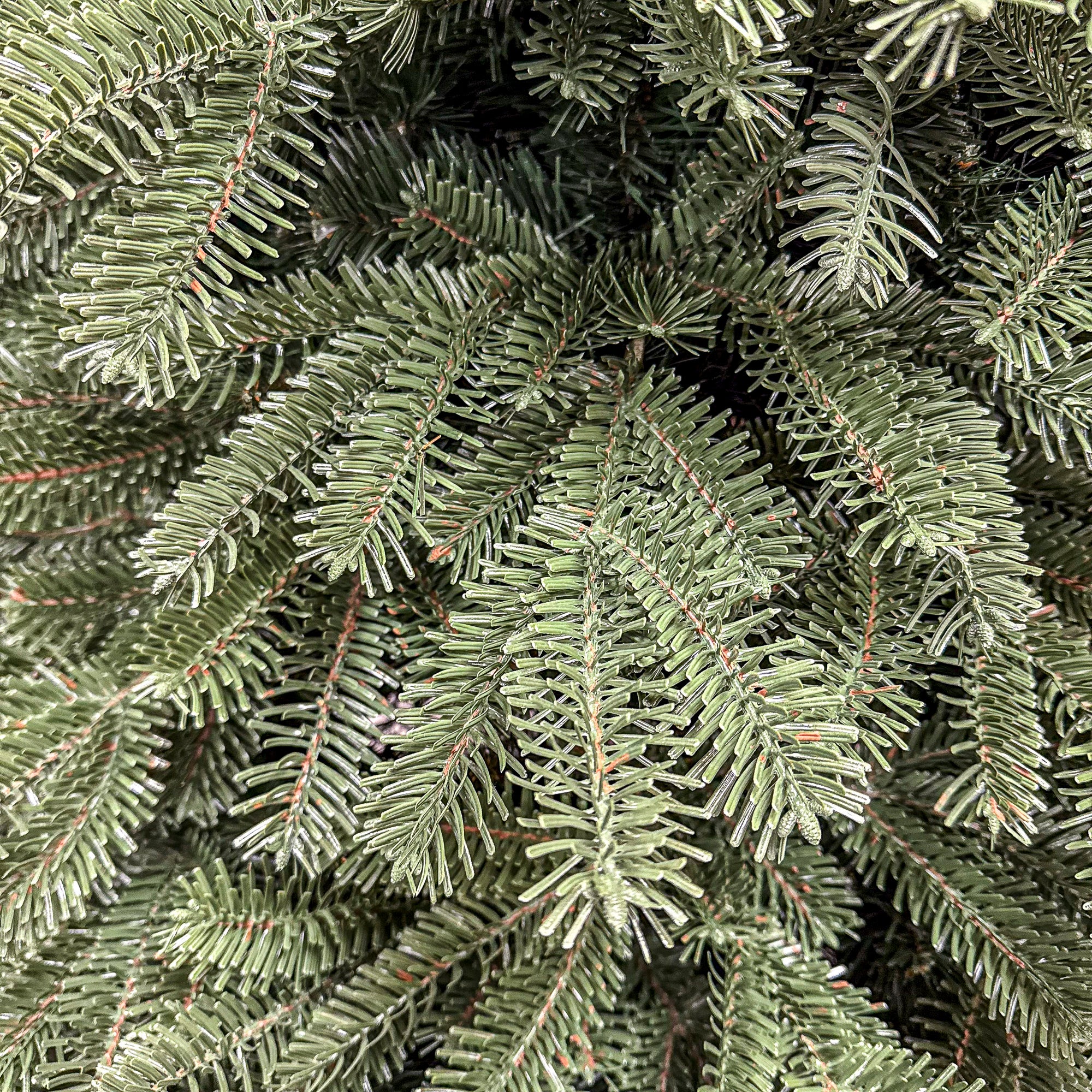 Brad artificial Christmas Deluxe by Sersimo, Norvegia verde, mix 2D+3D, 210 cm