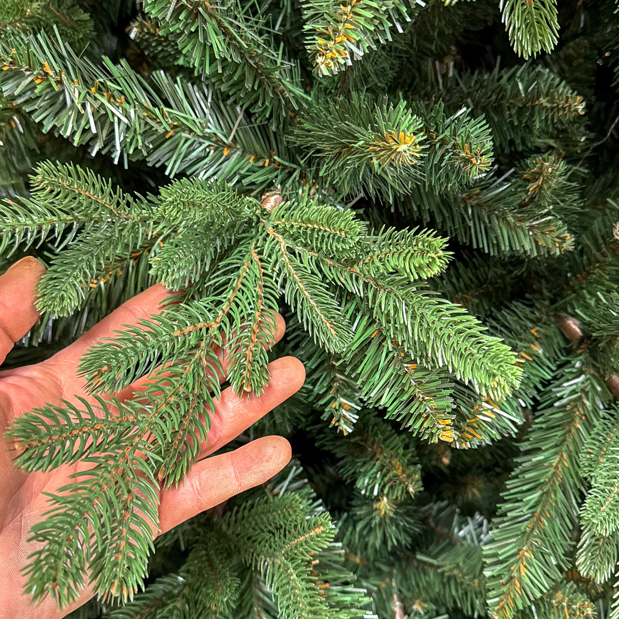 Brad artificial Christmas Deluxe by Sersimo, Royal Felara, 2D+3D, 250cm