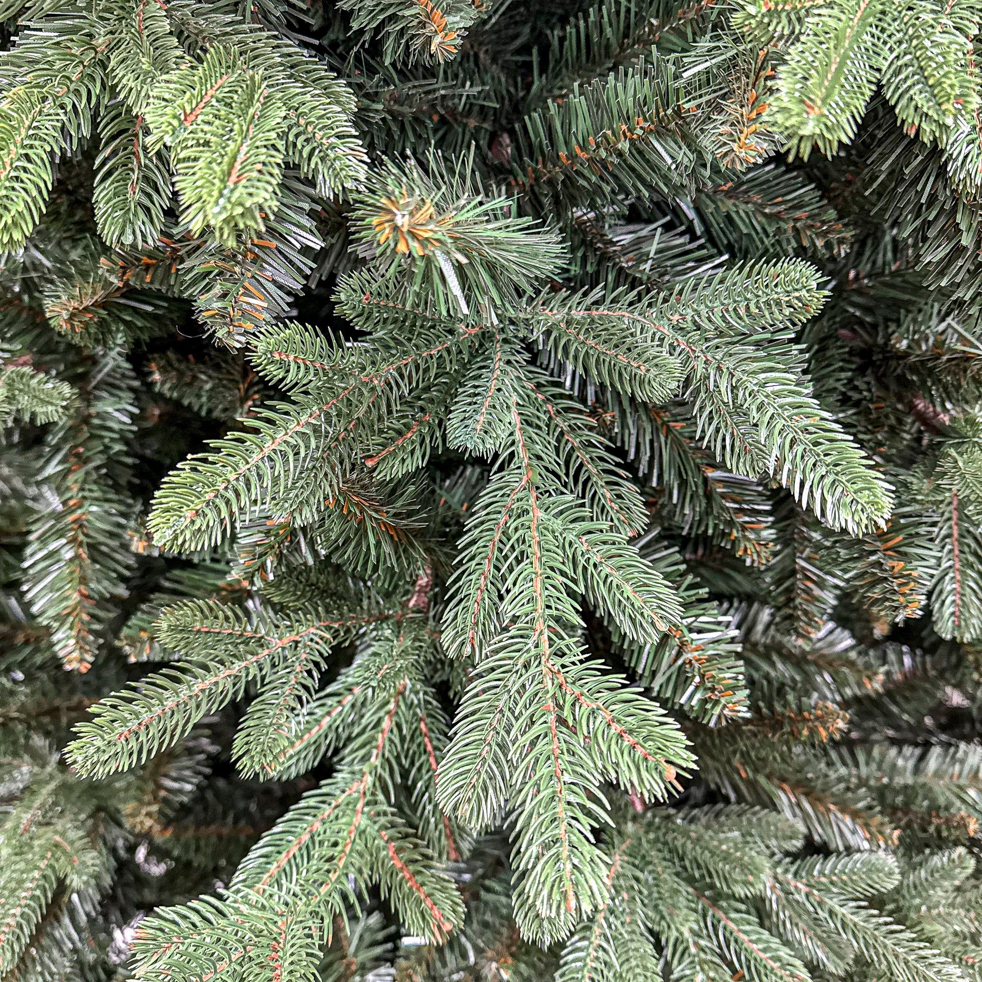 Brad artificial Christmas Deluxe by Sersimo, Royal Felara, 2D+3D, 230cm