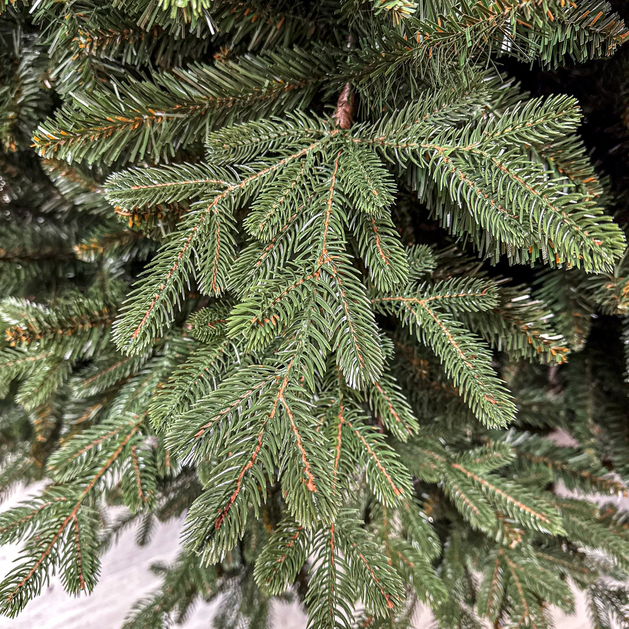Brad artificial Christmas Deluxe by Sersimo, Royal Felara, 2D+3D, 250cm