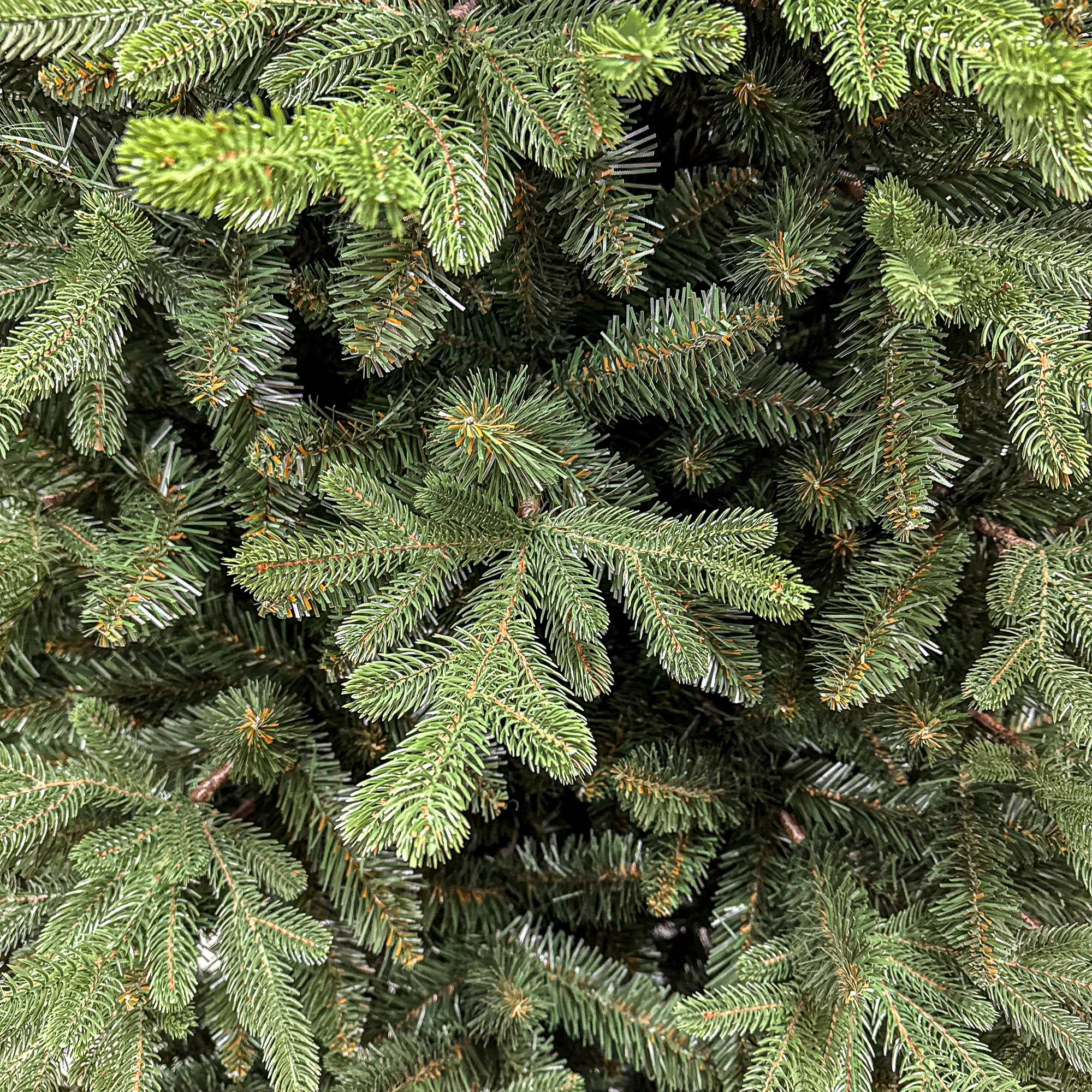 Brad artificial Christmas Deluxe by Sersimo, Royal Felara, 2D+3D, 230cm
