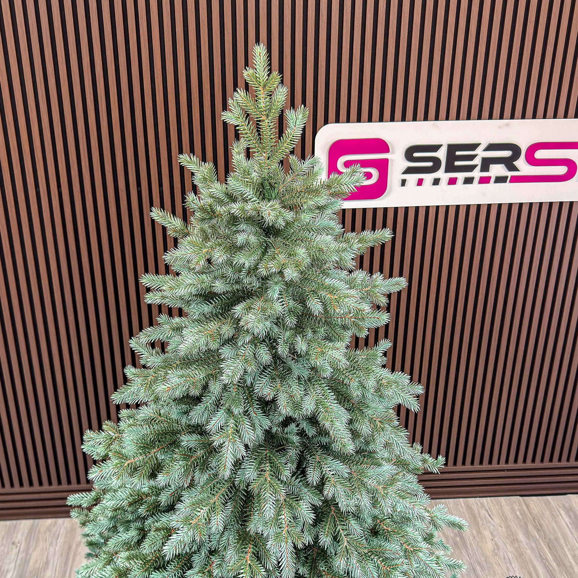 Brad artificial Sersimo, Scandinavia, verde cu varfuri argintii, integral 3D, 250 cm
