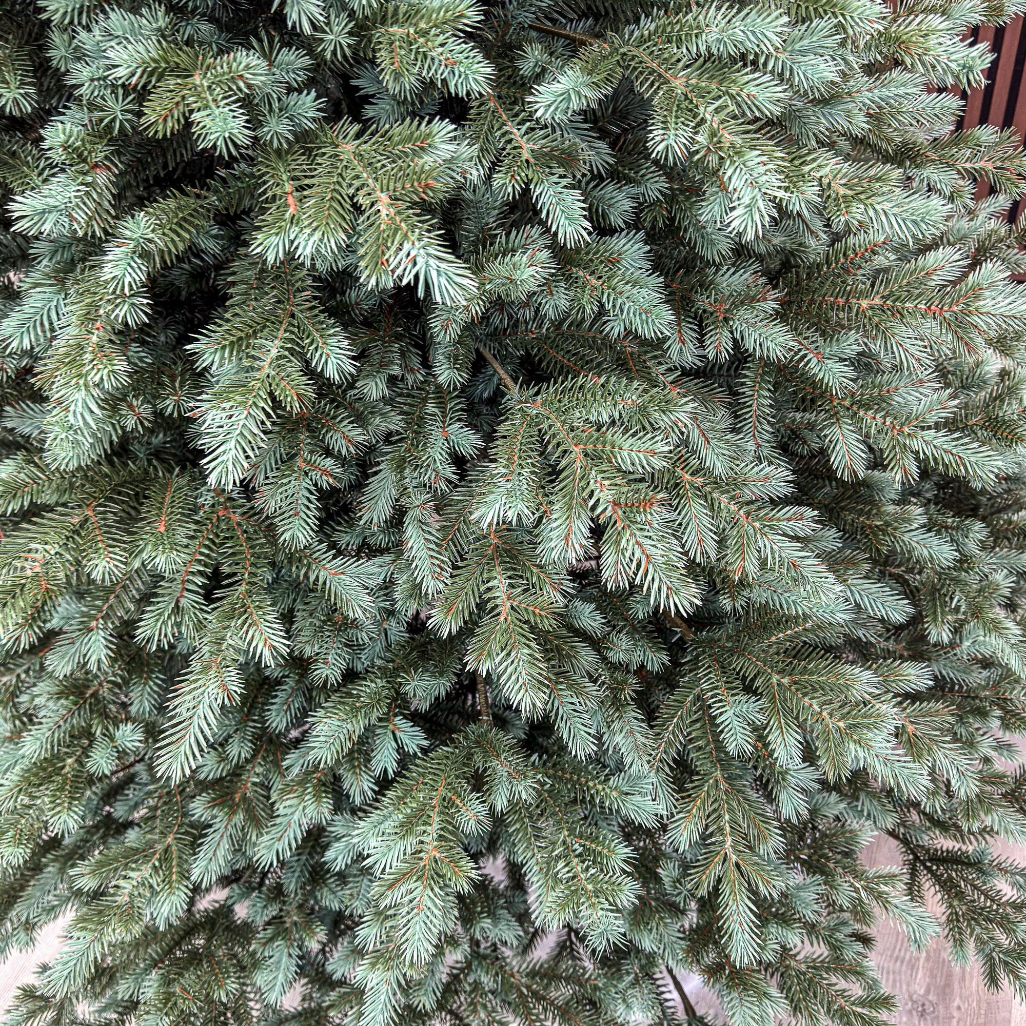 Brad artificial Sersimo, Scandinavia, verde cu varfuri argintii, integral 3D, 250 cm