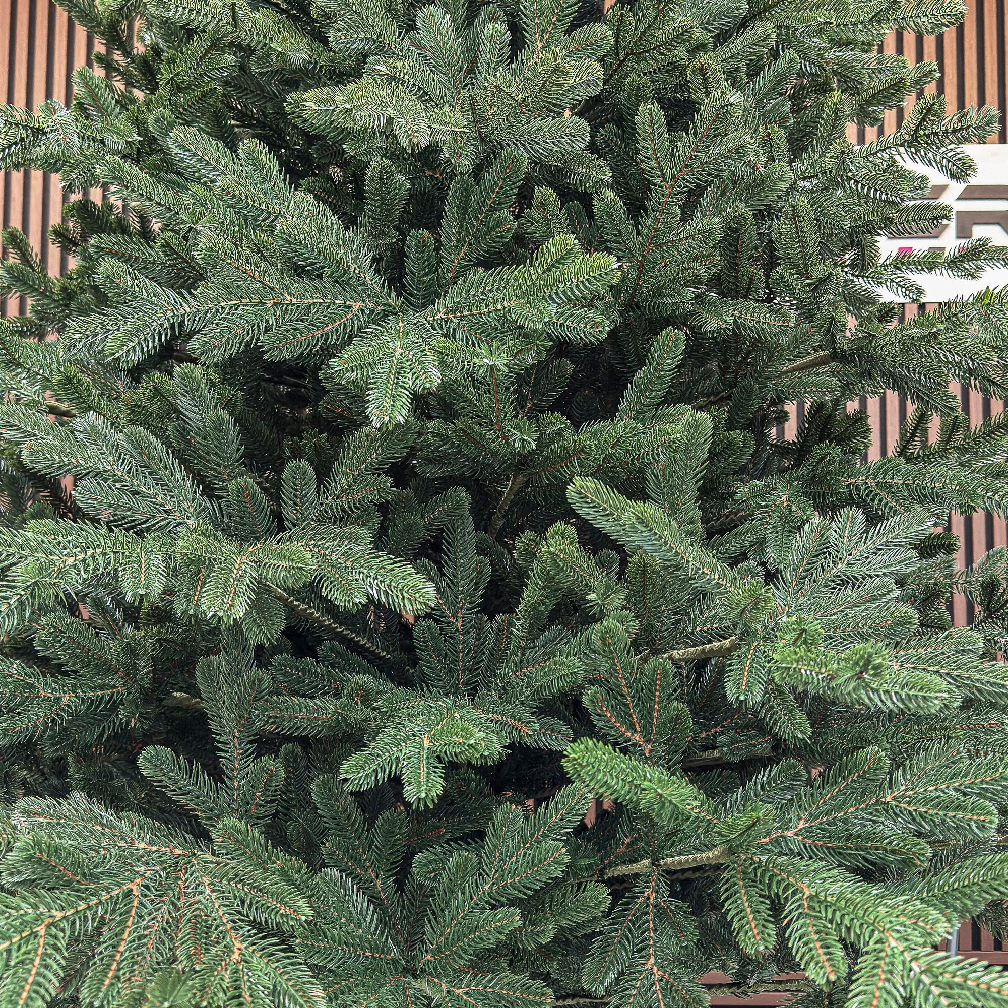 Brad artificial Christmas Deluxe by Sersimo, Viena verde, 3D, 250cm