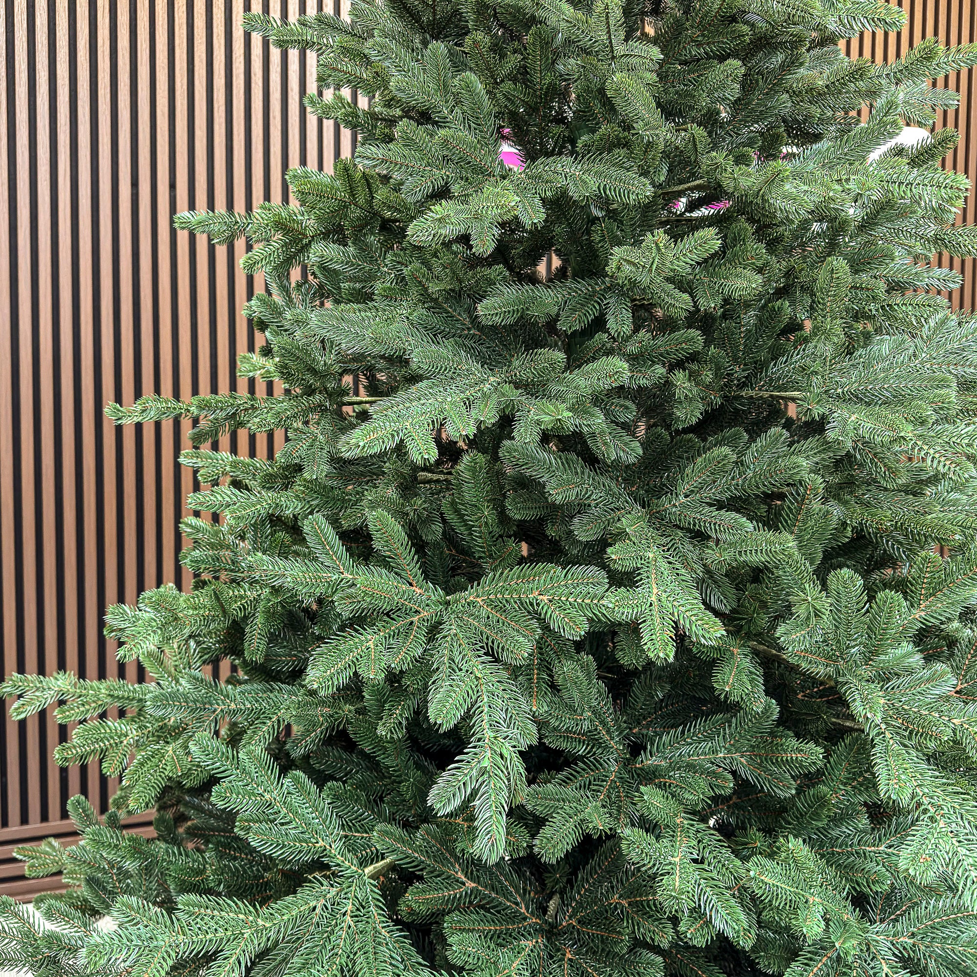 Brad artificial Christmas Deluxe by Sersimo, Viena verde, 3D, 250cm