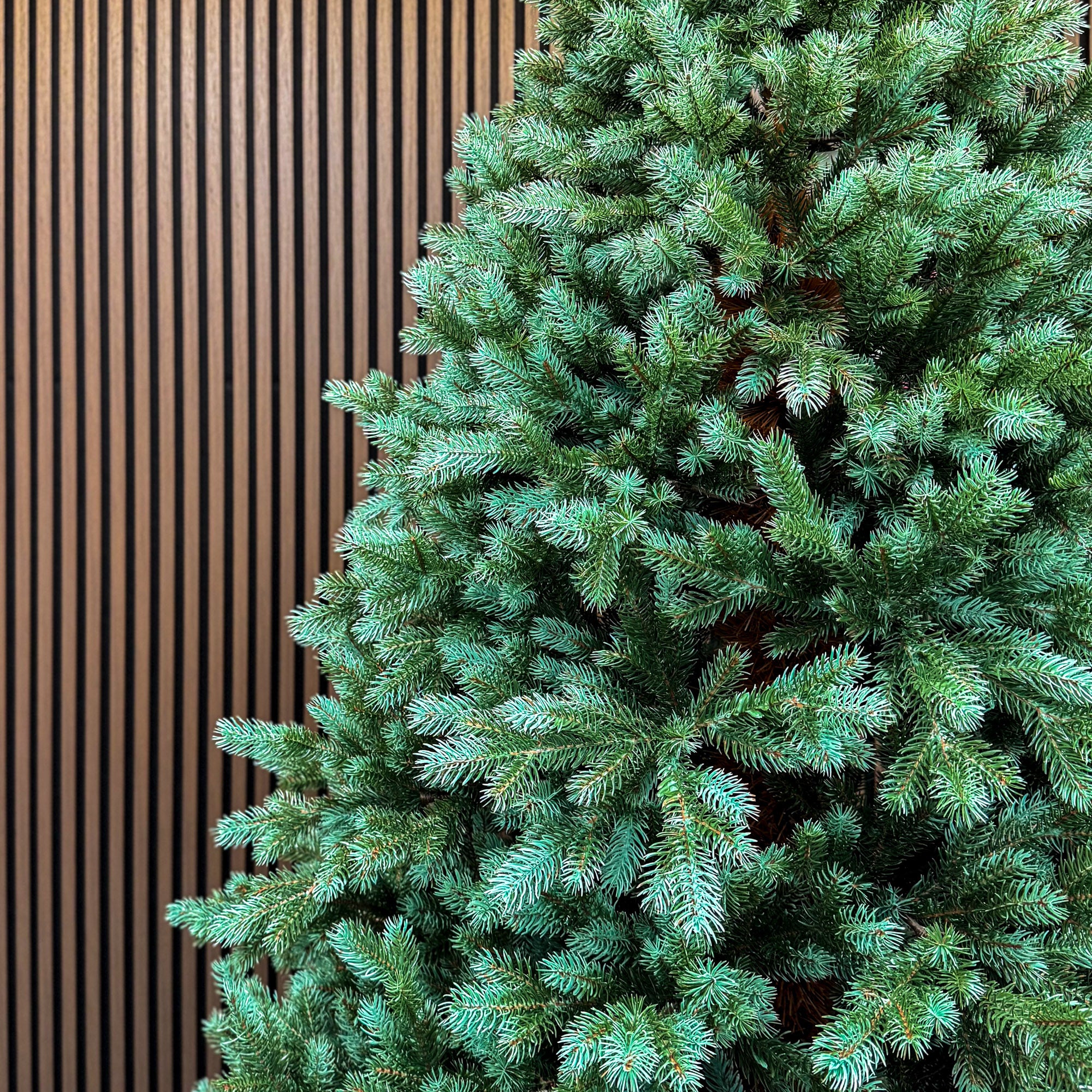 Brad artificial Sersimo, Hollandia, verde cu varfuri argintii, integral 3D, 230 cm