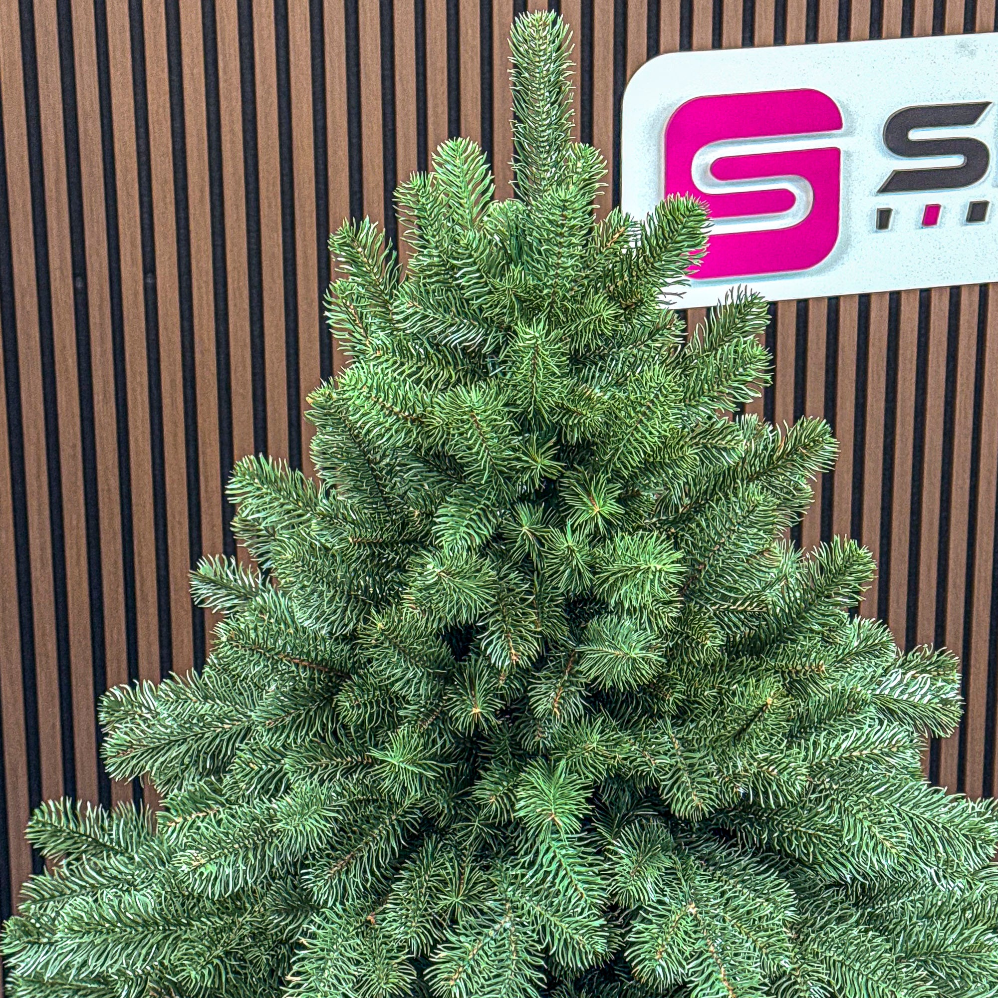 Brad artificial Christmas Deluxe by Sersimo, Versailles Select, integral 3D, 230 cm