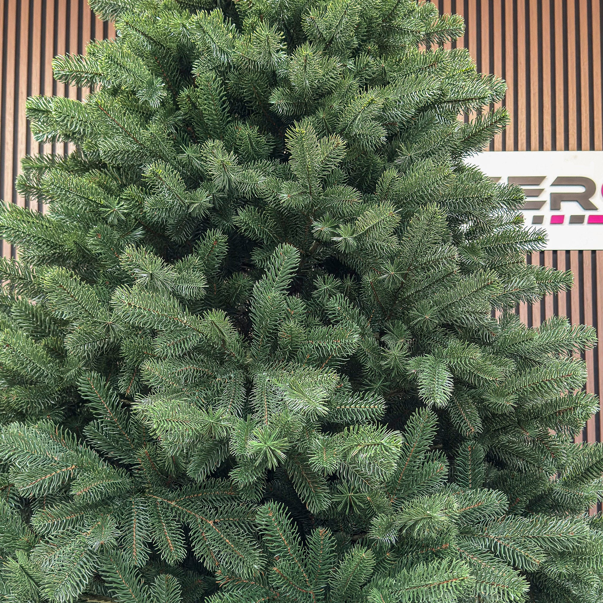 Brad artificial Christmas Deluxe by Sersimo, Versailles Select, integral 3D, 210 cm