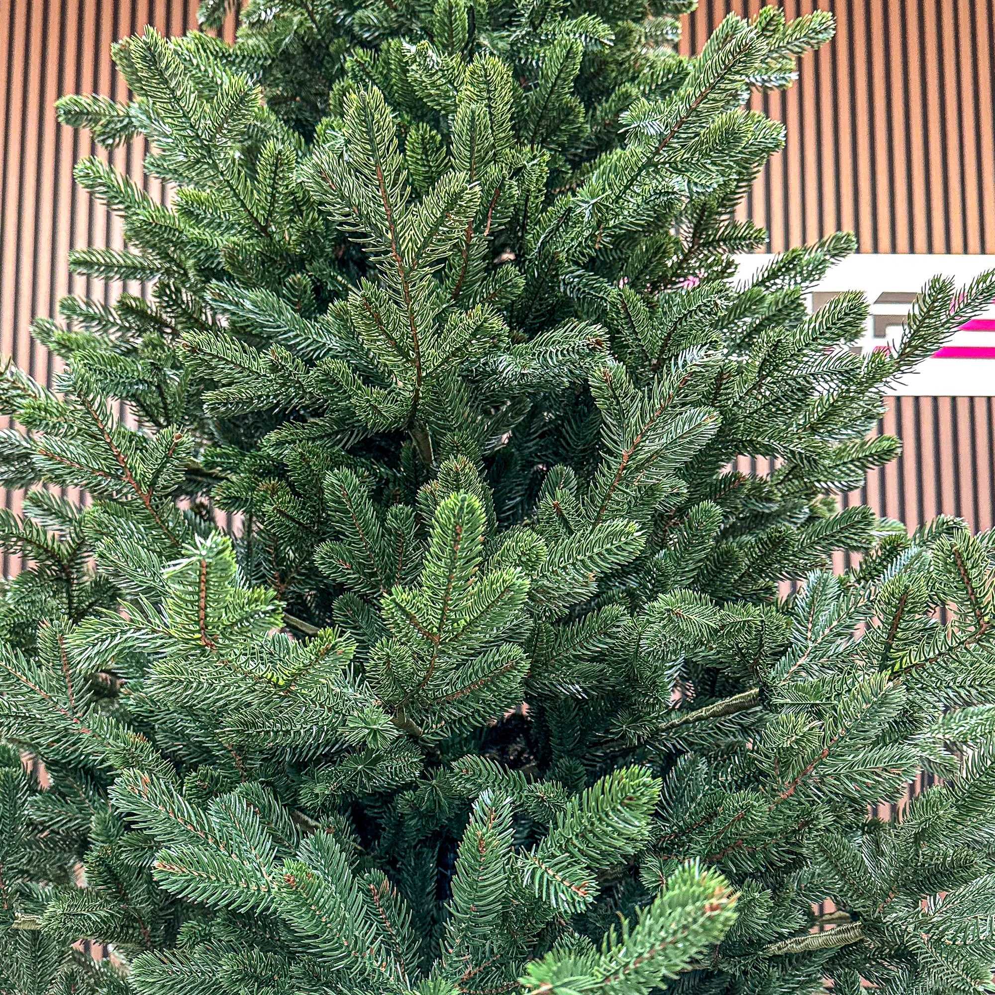 Brad artificial Christmas Deluxe by Sersimo, Viena Select, integral 3D, 180cm