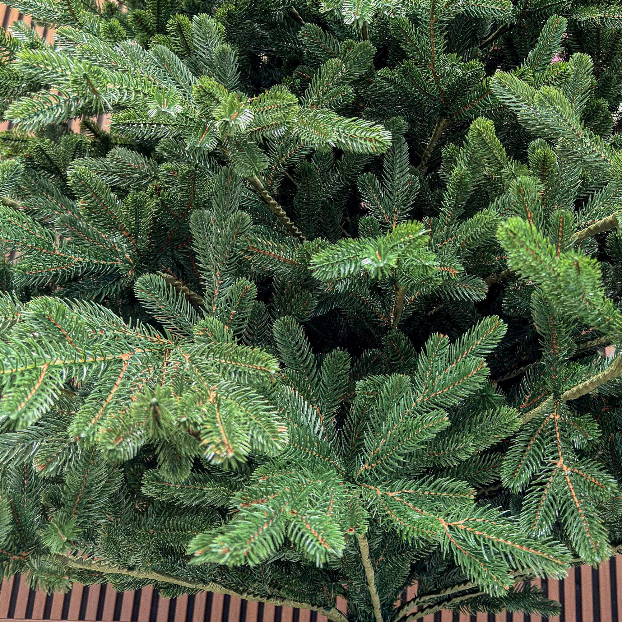 Brad artificial Christmas Deluxe by Sersimo, Viena Select, integral 3D, 250 cm