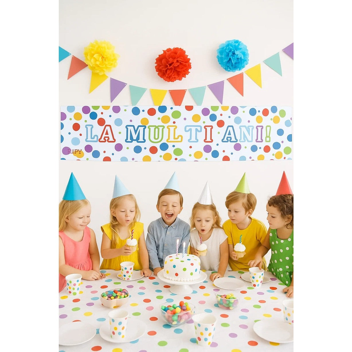 Banner Aniversar, Colectie LA MULTI ANI, 98 x 24 cm, Multicolor