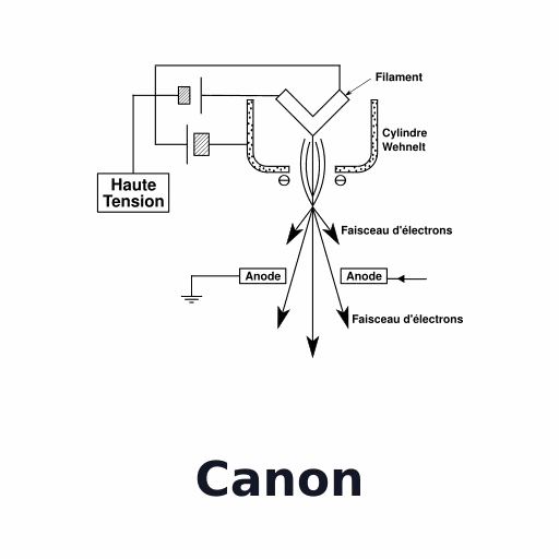 Canon
