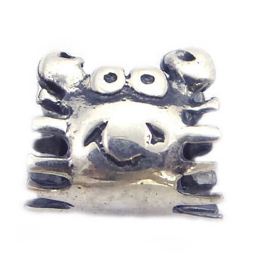 Charm din Argint 925 Rac