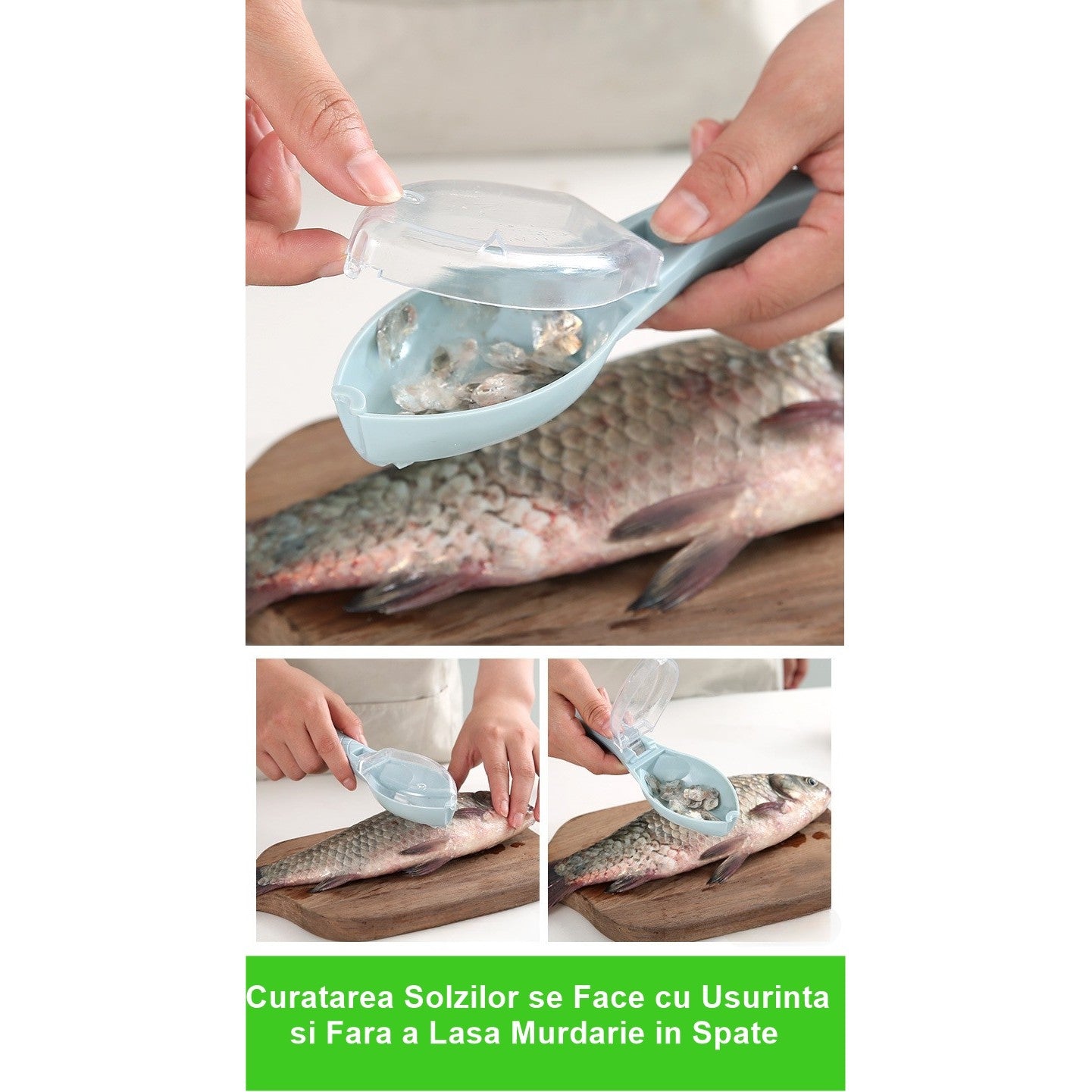 Curatator Manual Solzi de Peste, Forma Peste , Recipient cu Capcac pentru Solzi, Plastic, Albastru deschis, 16x6 cm