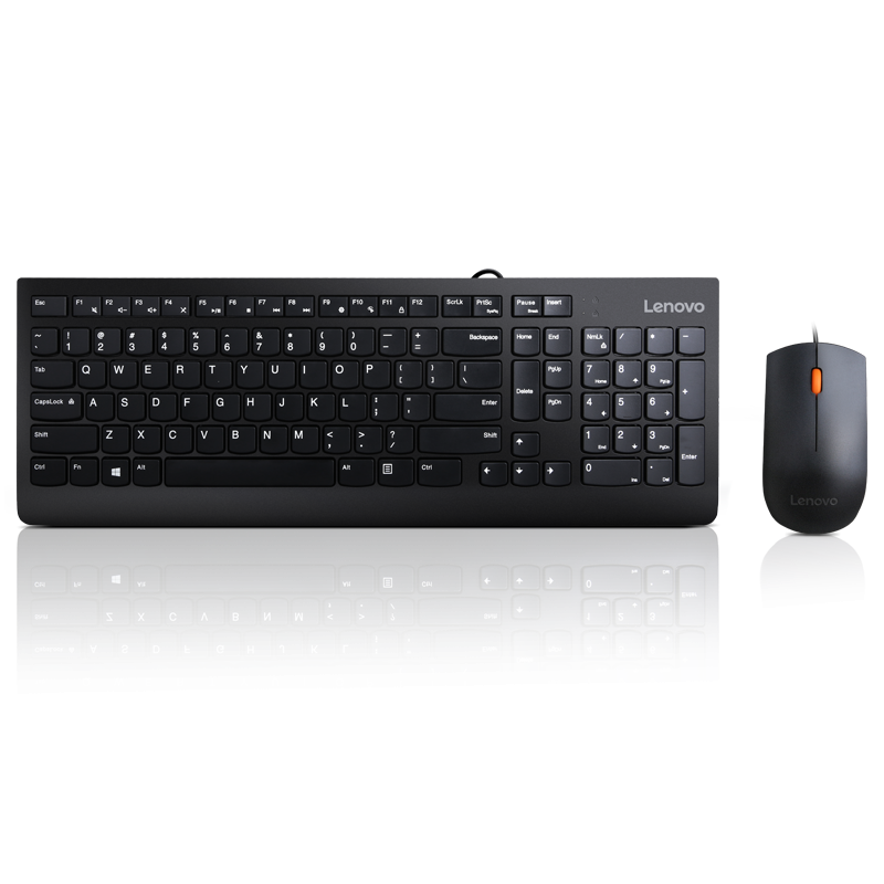 Lenovo 300 USB Combo Keyboard & Mouse 