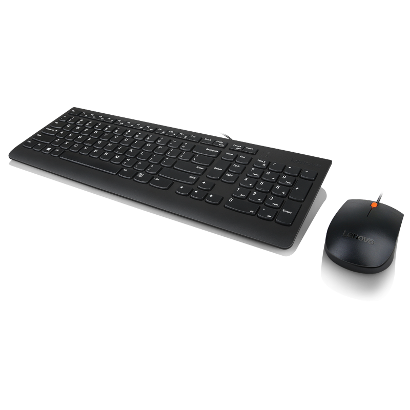 Lenovo 300 USB Combo Keyboard & Mouse 