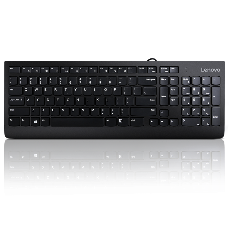 Lenovo 300 USB Keyboard - US English "GX30M39655"