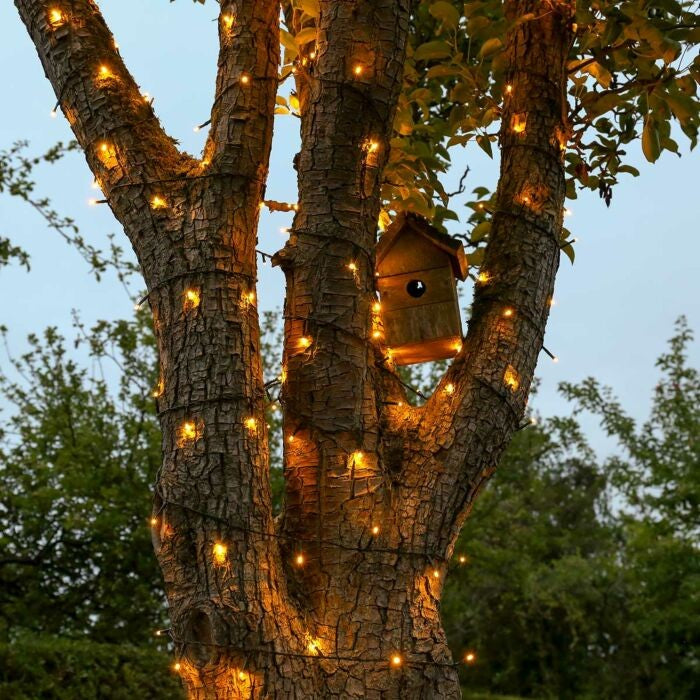 Instalatie Craciun liniara, cu transformator 31V, 10m, alb cald, 100 LED-uri V5, 8 jocuri de lumini, Fir verde