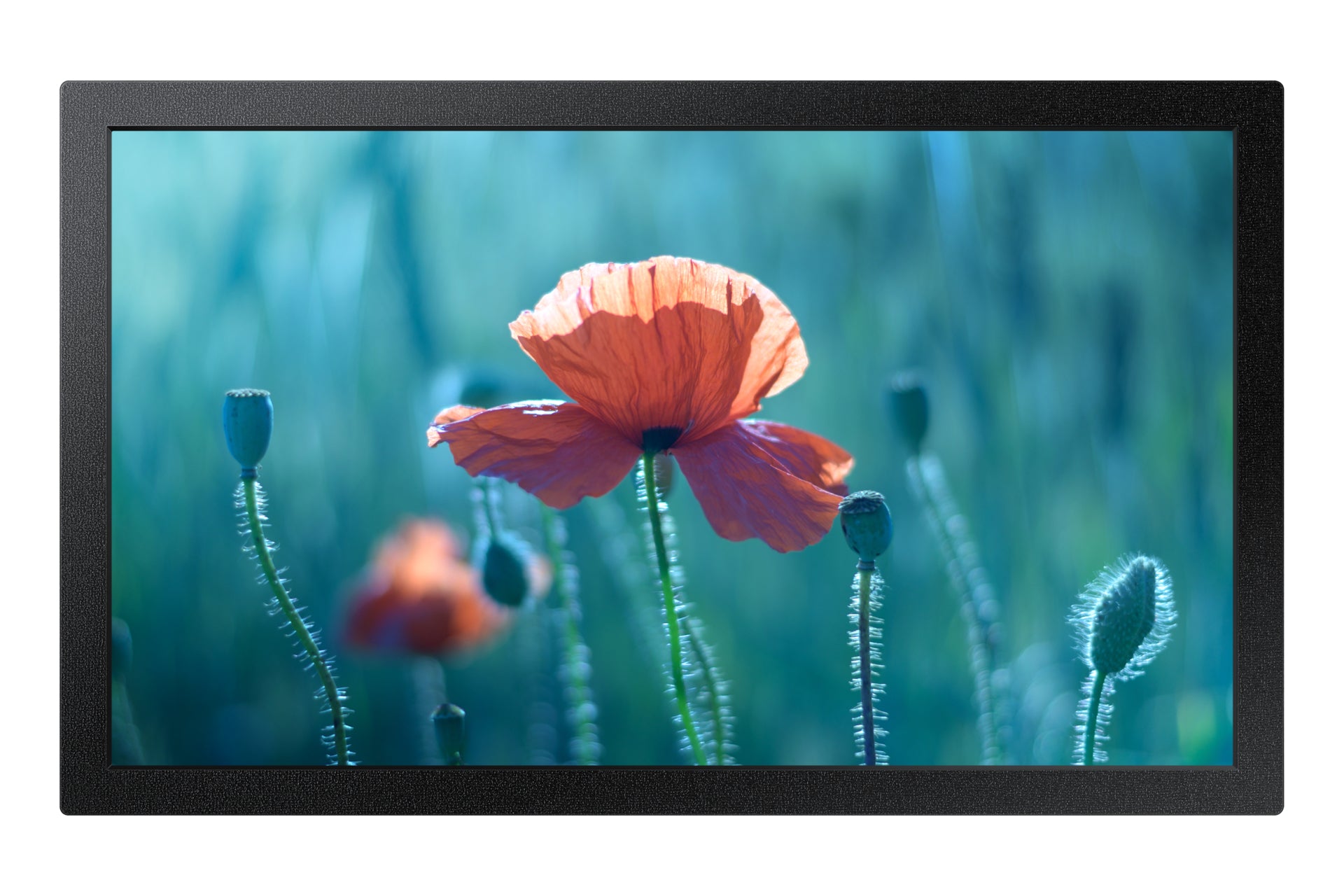 SAMSUNG LH13QBCEBGBXEN 13inch Full HD Signage QB13C 500 nits 16/7 operation black HDMI RS232in USB 2.0 Ethernet WiFi 2.4/5GHz "LH13QBCEBGBXEN"