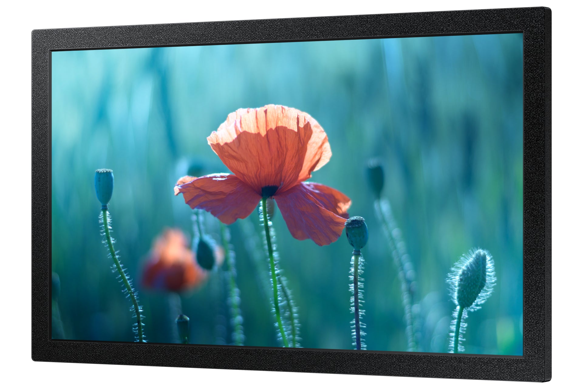 SAMSUNG LH13QBCEBGBXEN 13inch Full HD Signage QB13C 500 nits 16/7 operation black HDMI RS232in USB 2.0 Ethernet WiFi 2.4/5GHz "LH13QBCEBGBXEN"