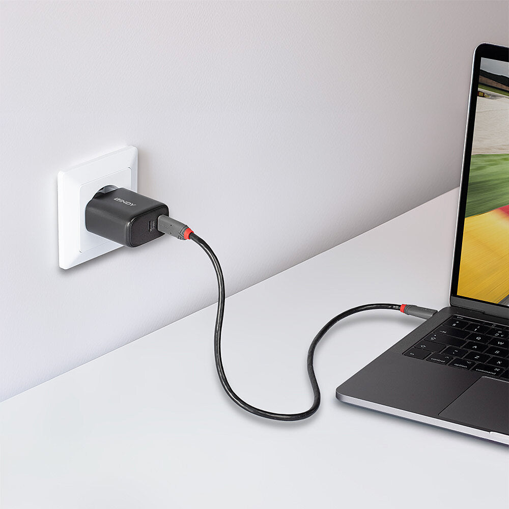 Incarcator Lindy 2x USB Type-C GaN 65W "LY-73438"