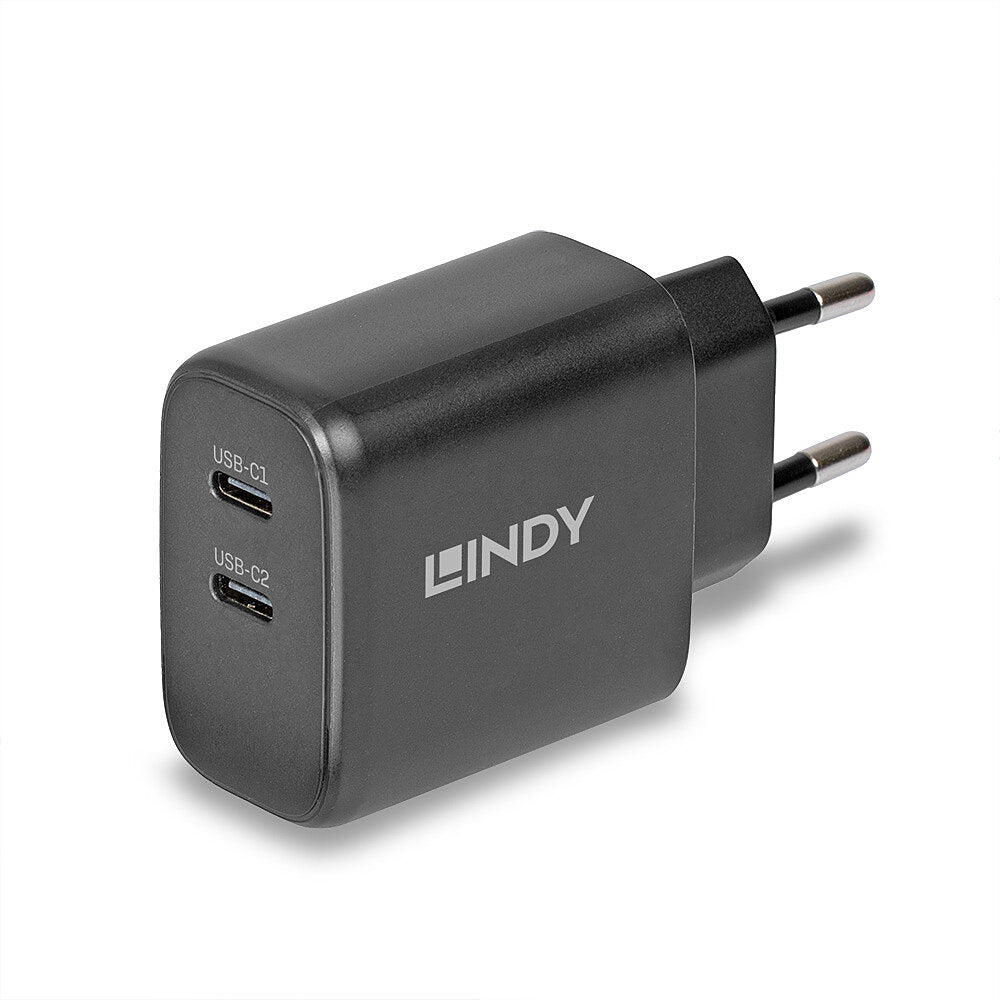 Incarcator Lindy 2x USB Type-C GaN 65W "LY-73438"