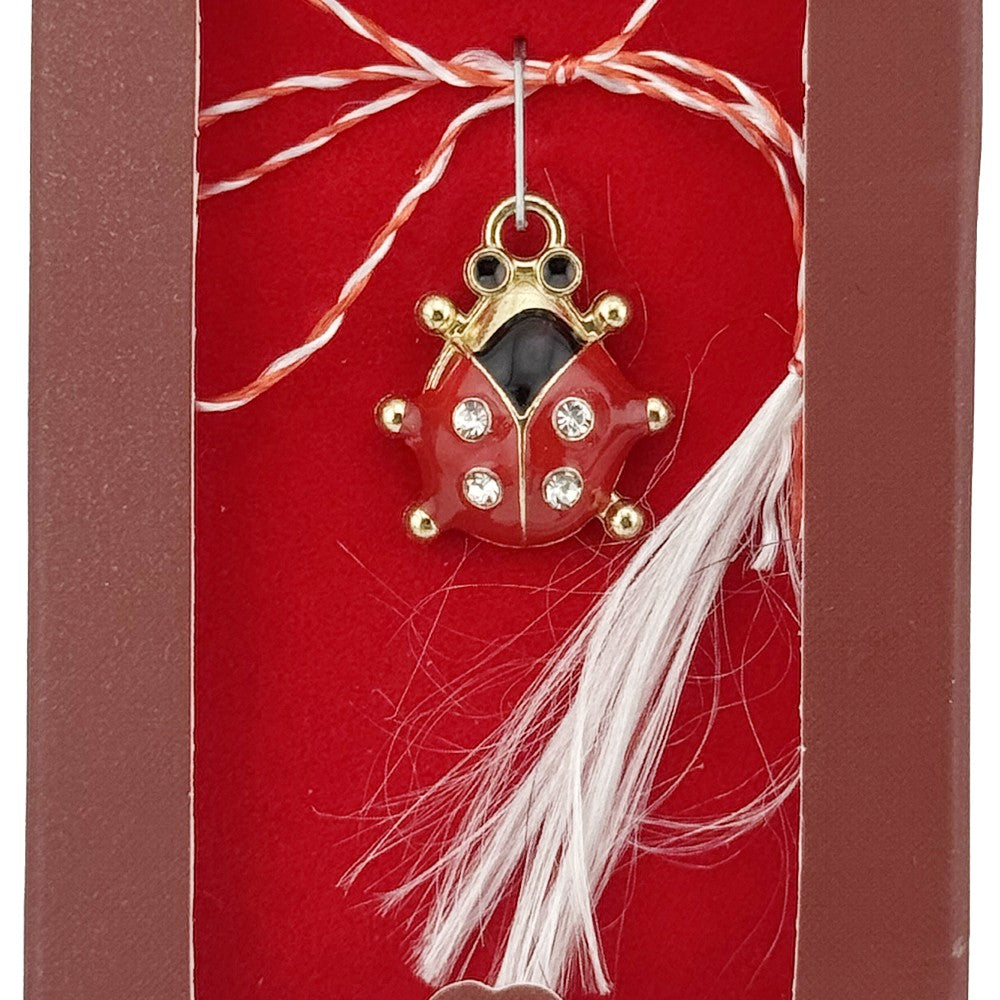 Martisor Pandantiv, Drag de Primavara, Model Buburuza, Rosu/Negru