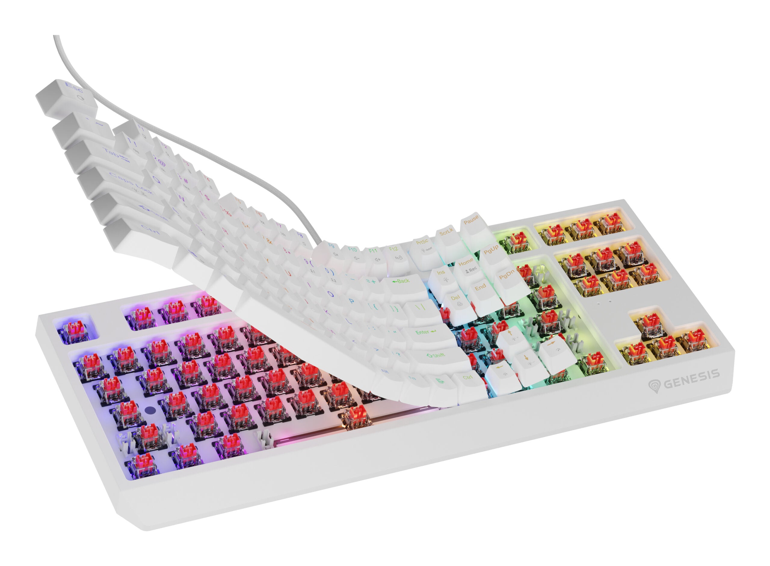 Tastatura Genesis Thor 230 TKL R alb "NKG-2078"