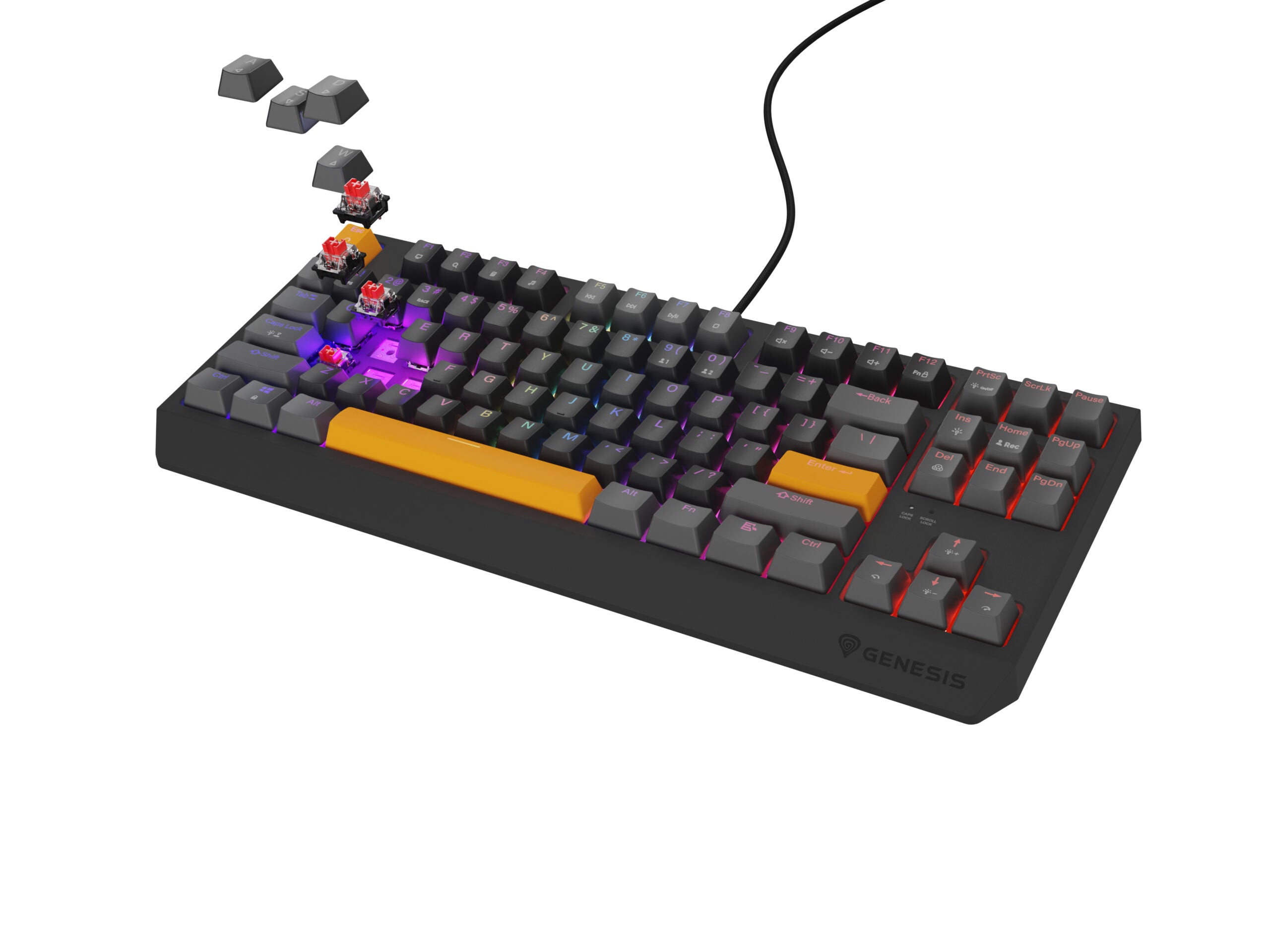 Tastatura Genesis Thor 230 TKL Anchor Gray Positive RGB Outemu Red "NKG-2081"