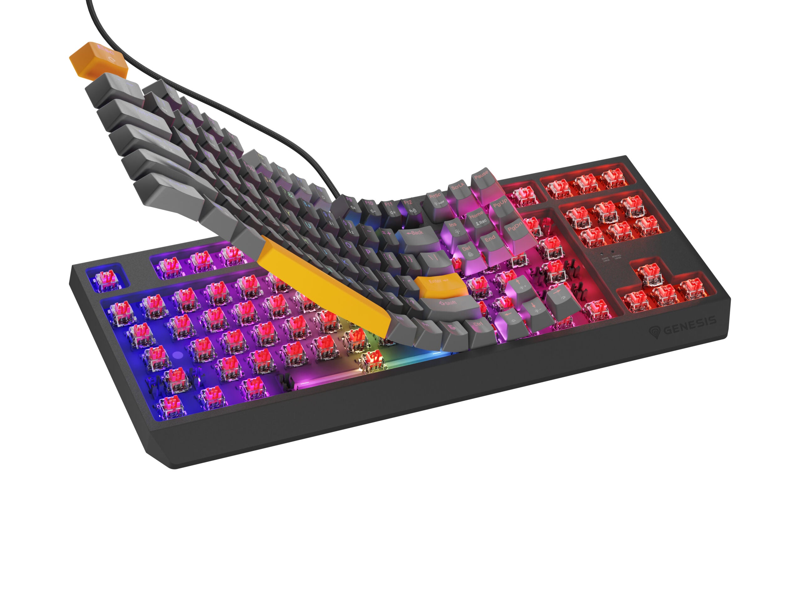 Tastatura Genesis Thor 230 TKL Anchor Gray Positive RGB Outemu Red "NKG-2081"